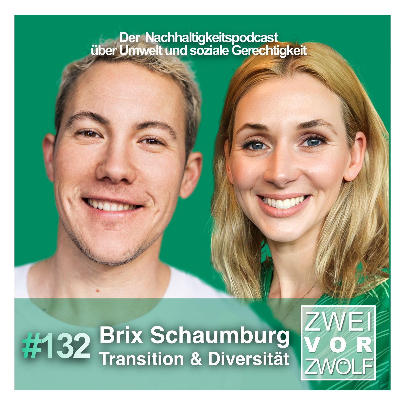 #132 Brix Schaumburg - Transition & Diversität