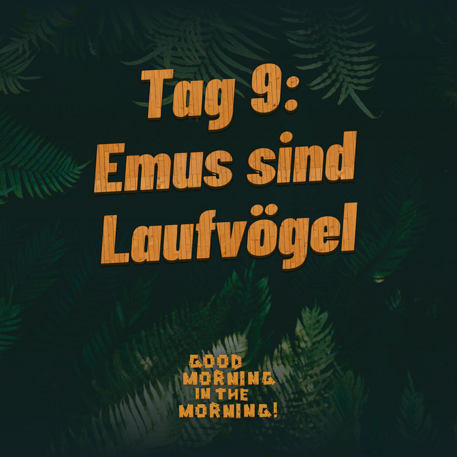#138 – Tag 9: Emus sind Laufvögel