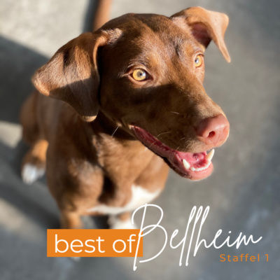 #14 - Best Of Staffel 1