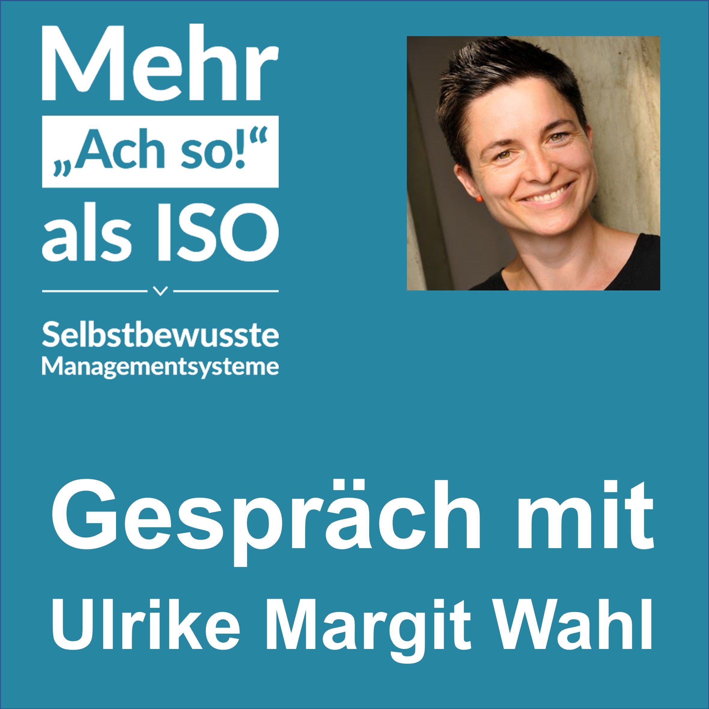 14 Ein Managementsystem ohne Audit – eine kleine Zukunftswerkstatt mit der Hochschulerfrischerin Ulrike Margit Wahl