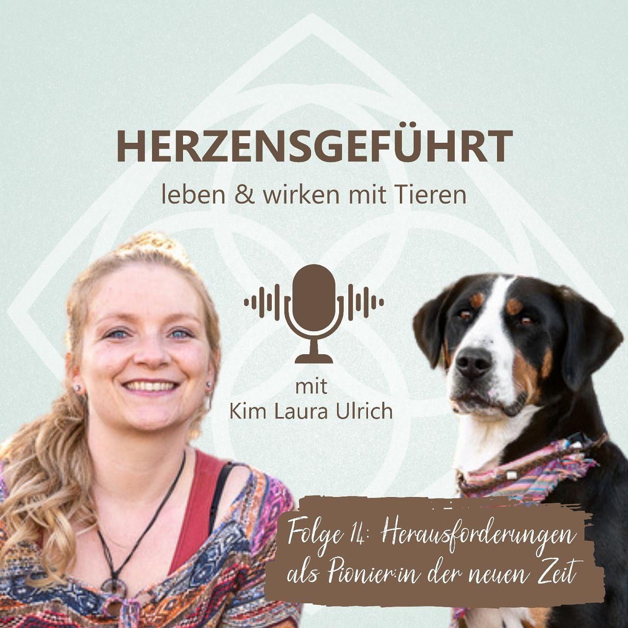 14. Herausforderungen als Pionier:in der neuen Zeit