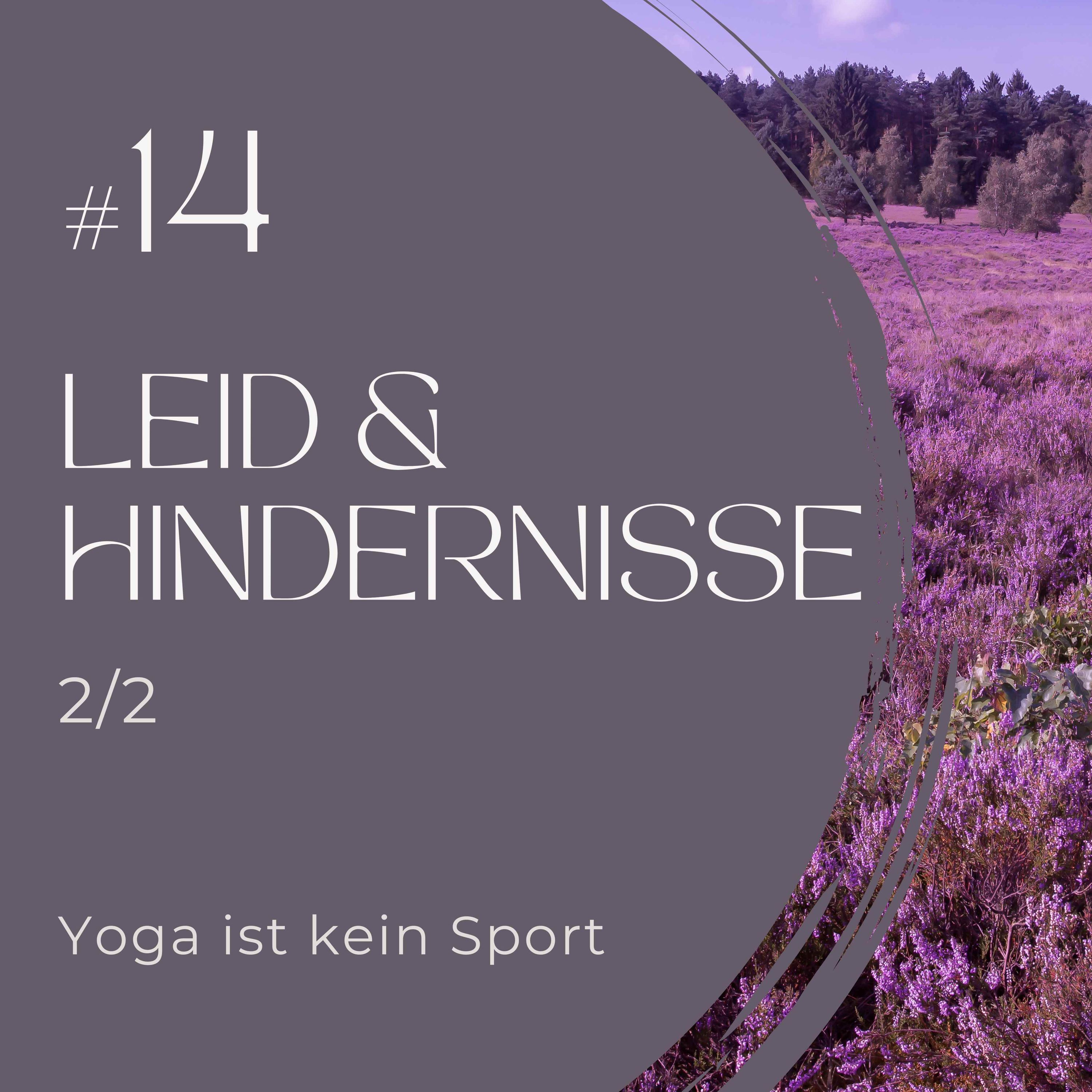 #14 Leid & Hindernisse Teil 2