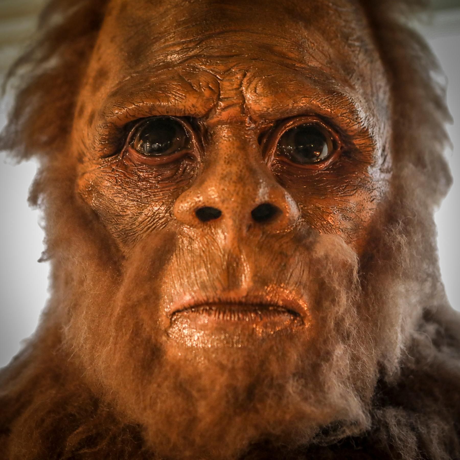 #14 Nebraska - Railroads, Bigfoots und die kleinste Stadt der USA