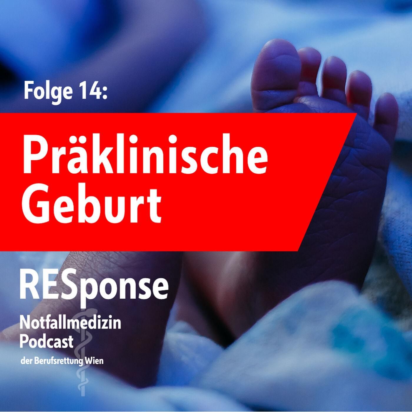 #14: Präklinische Geburt: Was können wir tun, damit alles gut wird?