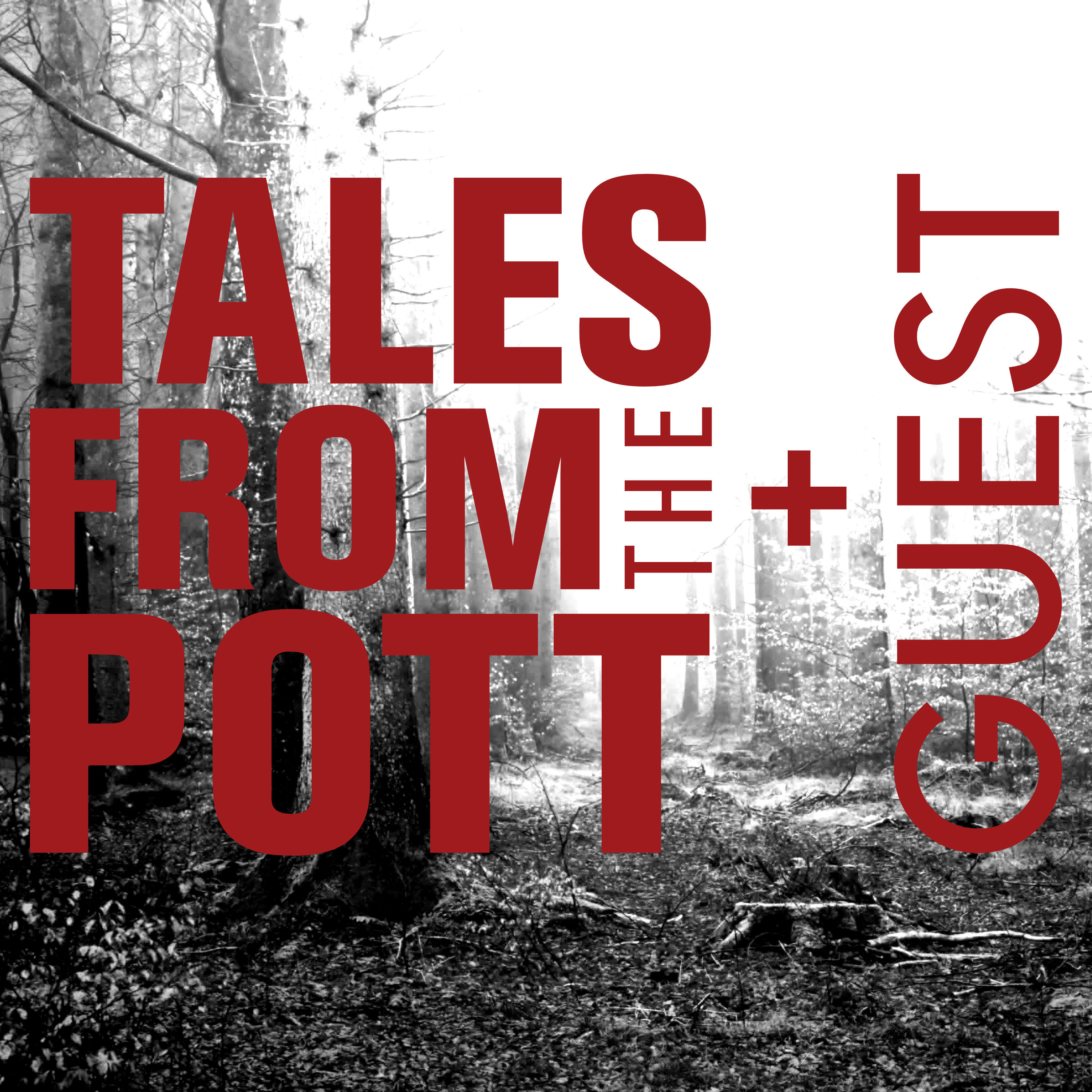 #14: „stripped, raped and survived 2022" (Guest: Pedda Z. - Tacheles)
