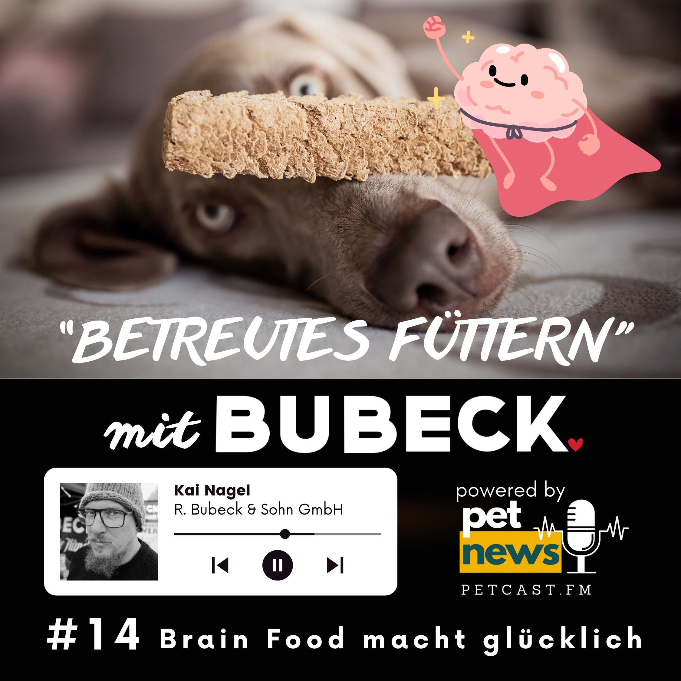 #14 - Was hat der Darm mit dem Gehirn zu tun?