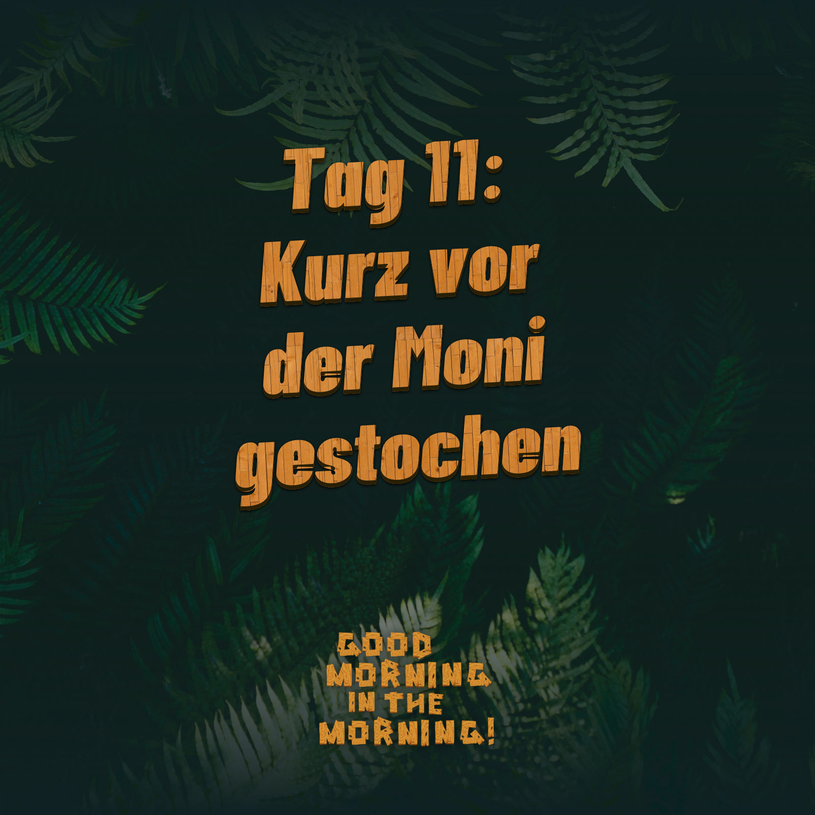#140 – Tag 11: Kurz vor der Moni gestochen