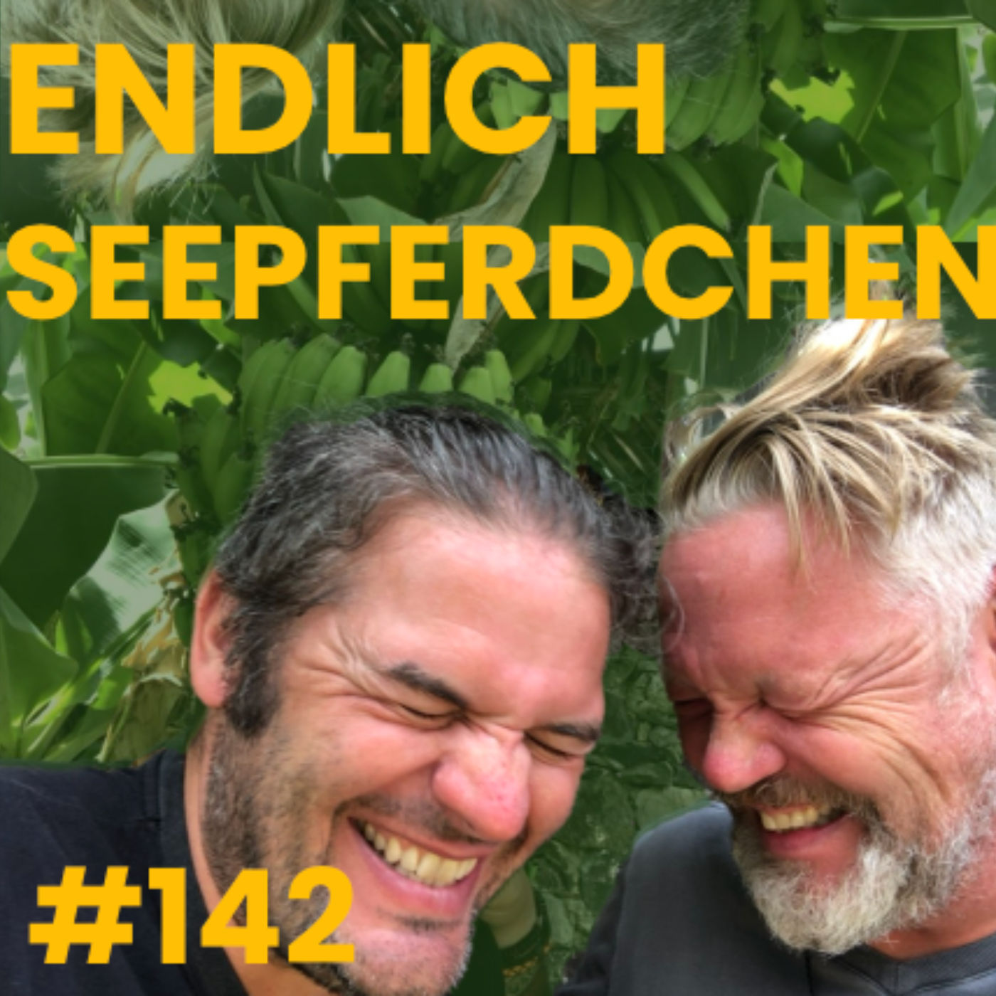 #142 Endlich Seepferdchen