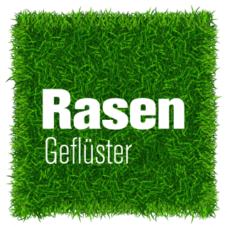 #145 "Immer bereit fürs Tackling" mit Benny Kirsten