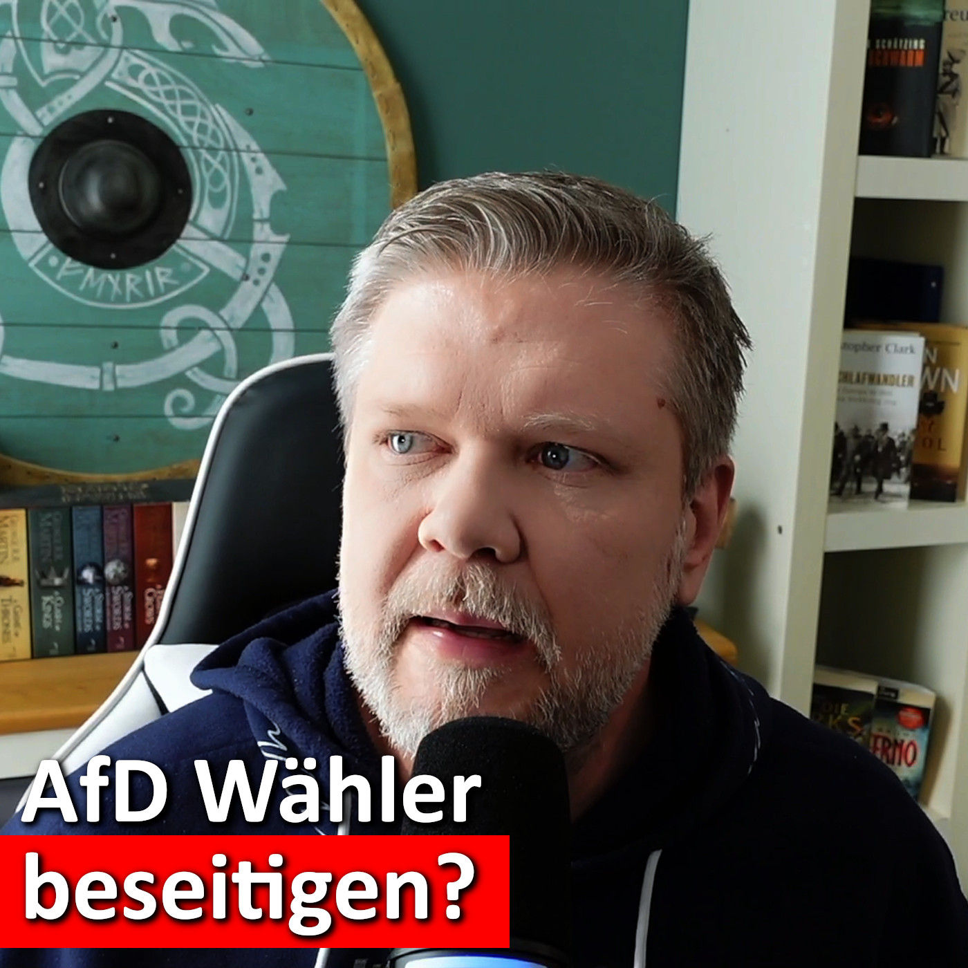 #147: Bundesverfassungsgericht im Umbruch: SPD Strategie gegen die AfD