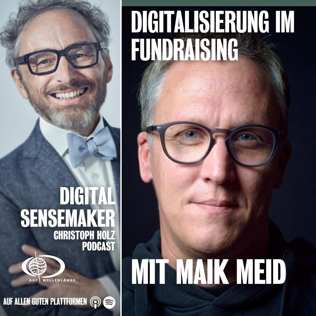 #148 Sind Deutsche NGO's bei der Digitalisierung schon abgehängt?, mit Maik Meid, Fundraising Manager