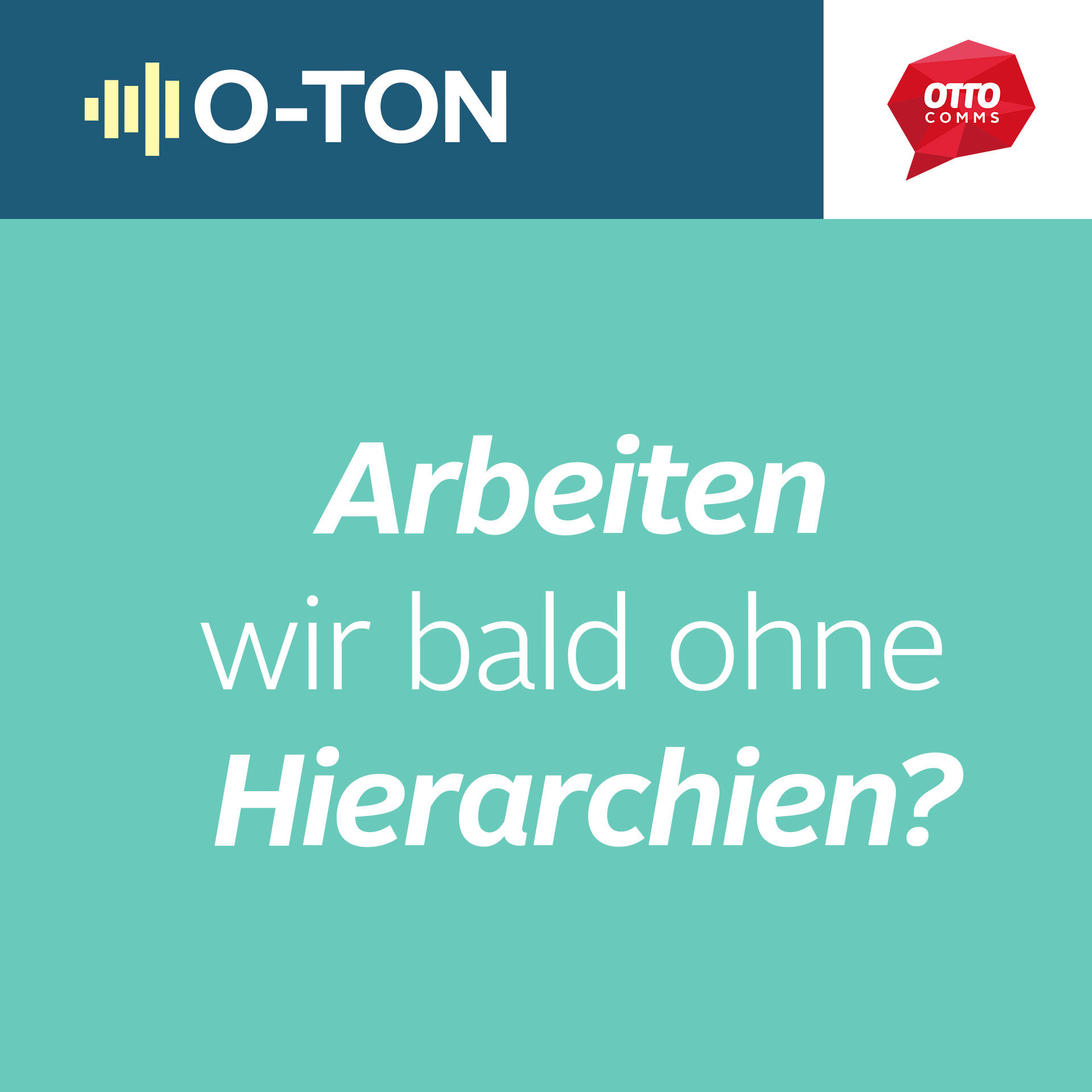 #149: Arbeiten wir bald ohne Hierarchien?