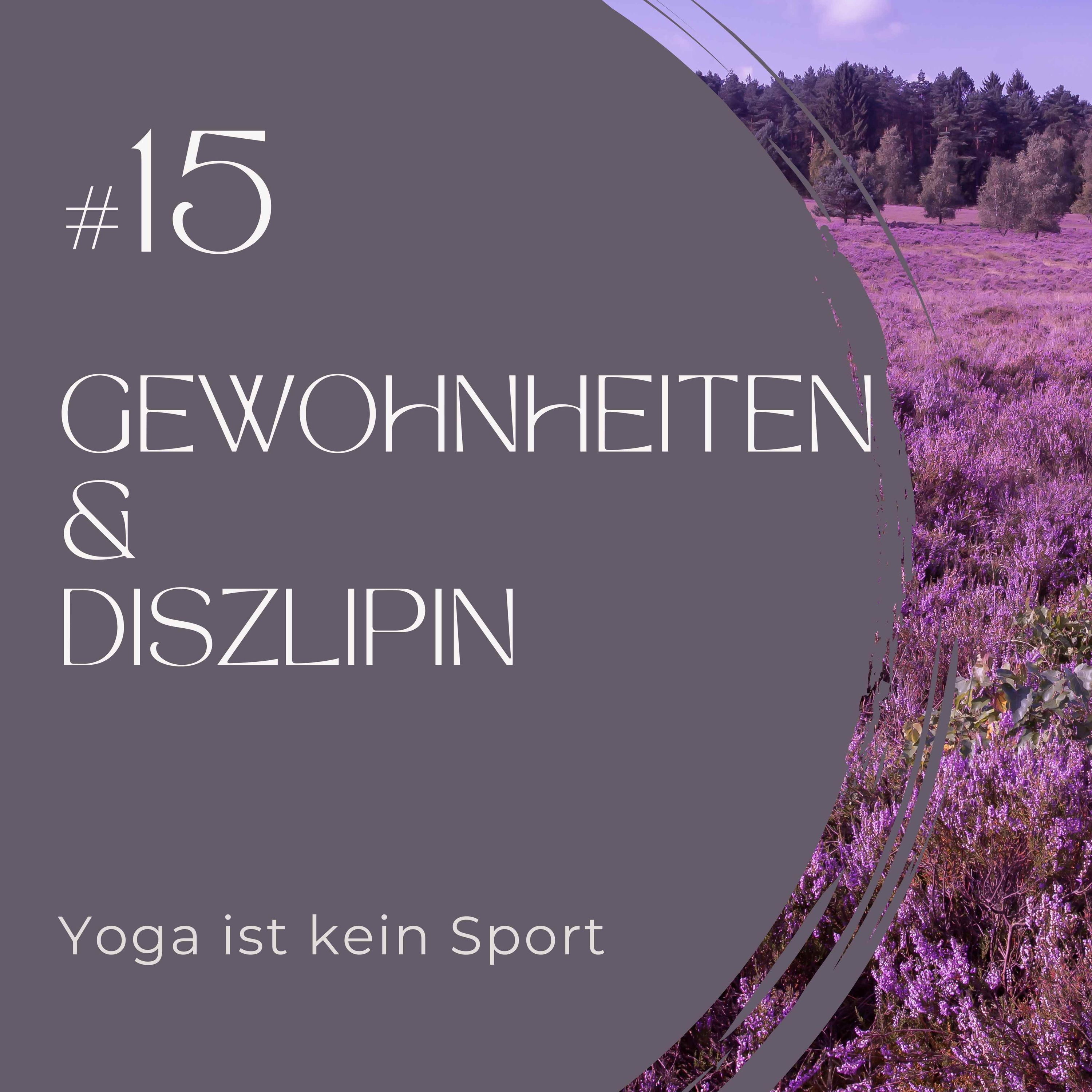 #15 Gewohnheiten & Diszlipin