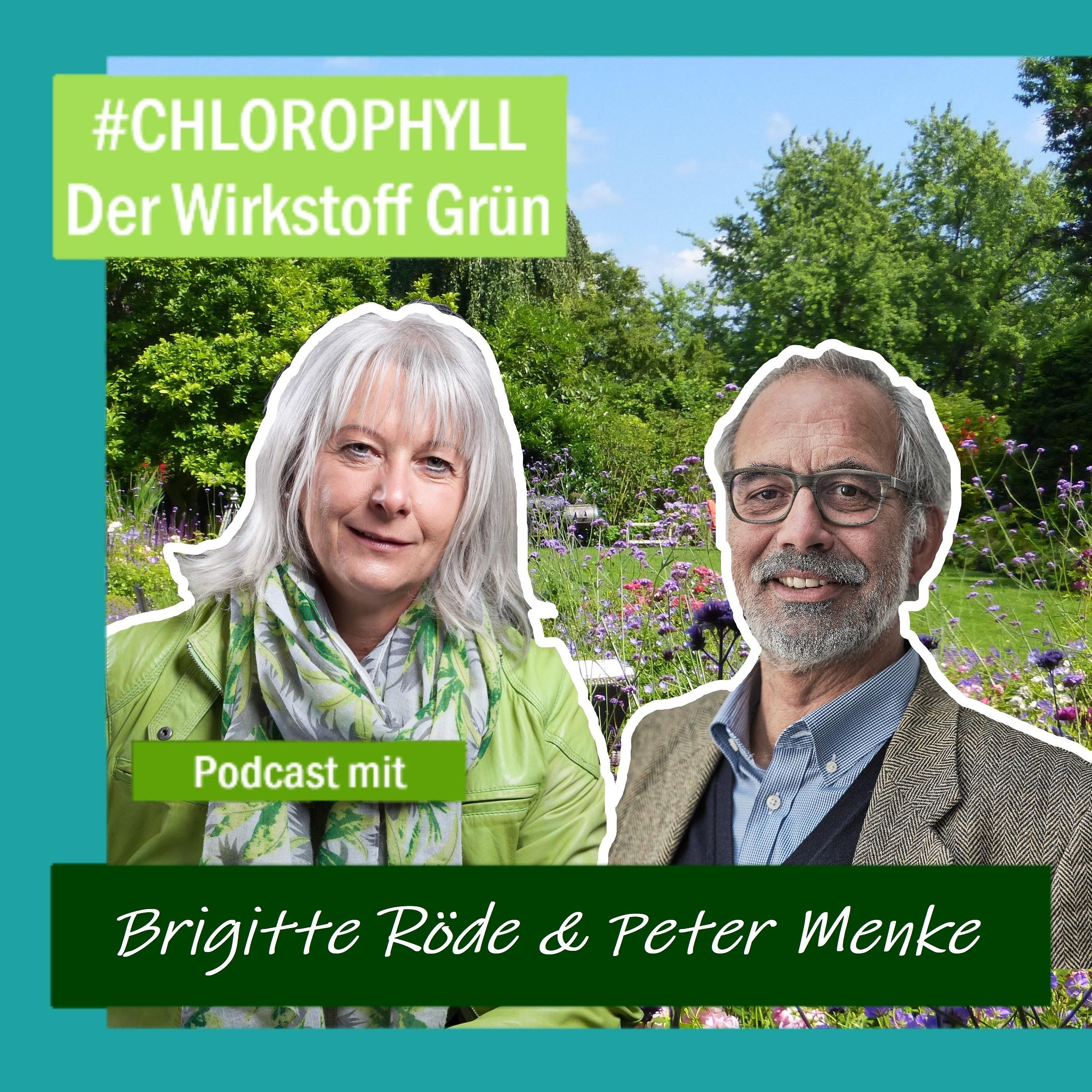 # 15 - Landschaftsarchitektin Brigitte Röde