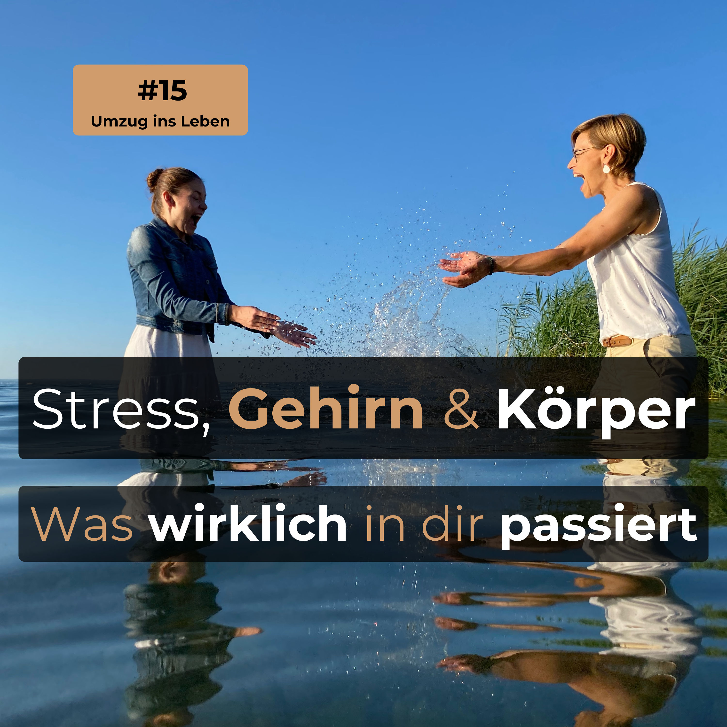#15 Stress, Gehirn & Körper - Was wirklich in dir passiert