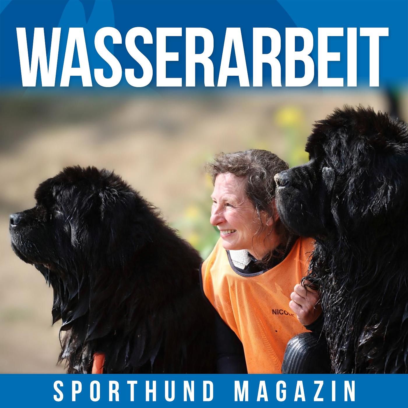 #15 Wasserarbeit