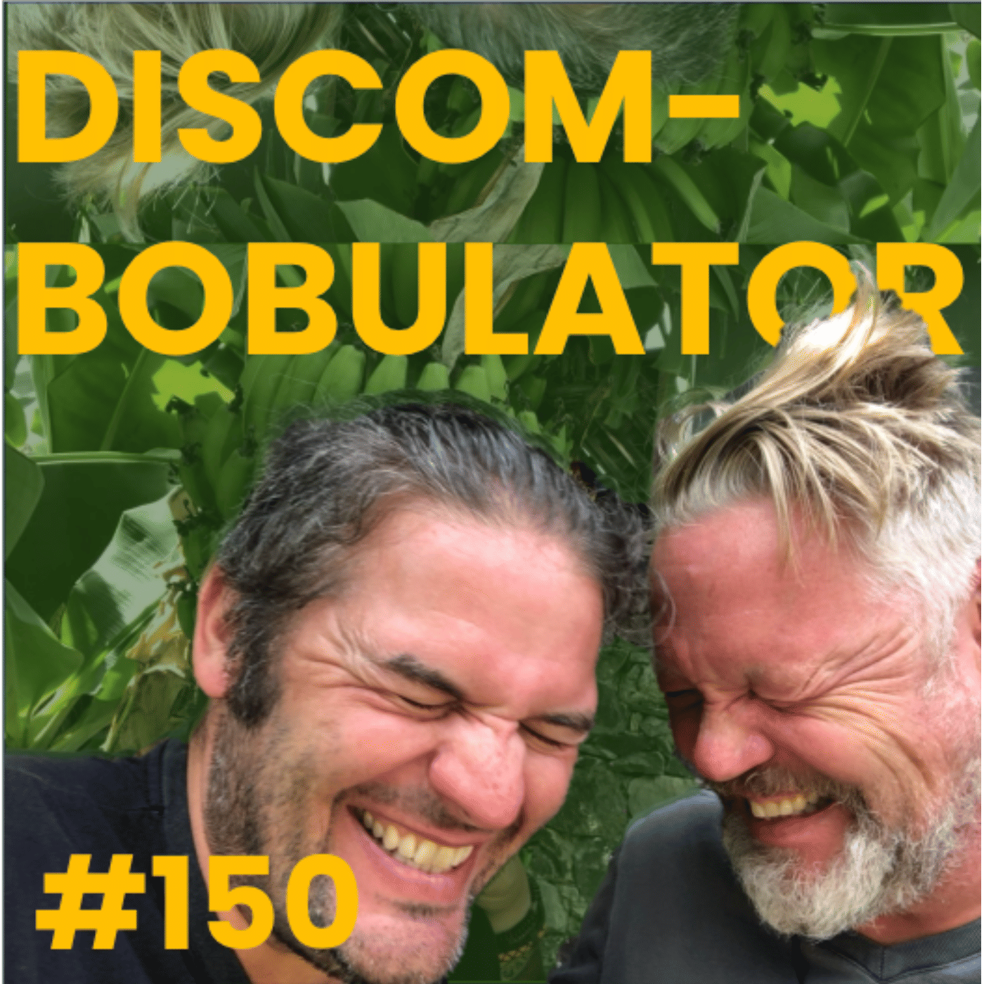 #150 Discombobulator!