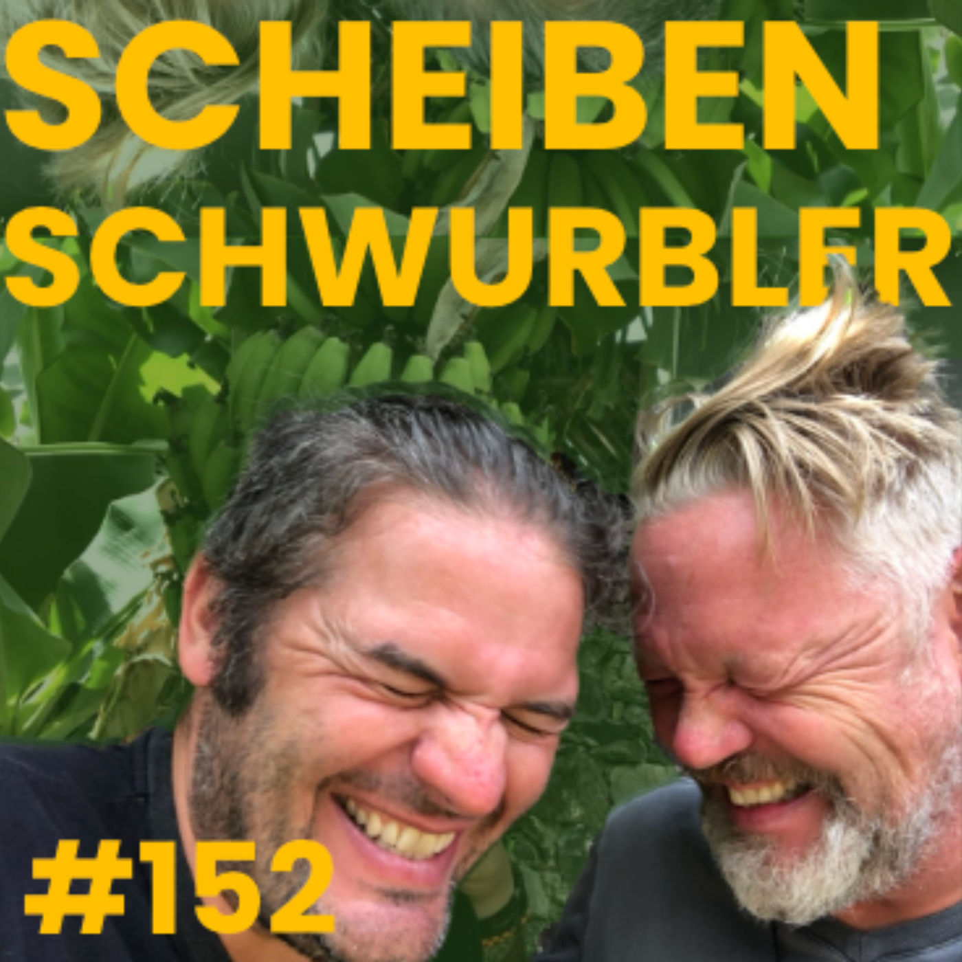 #152 Scheibenschwurbler