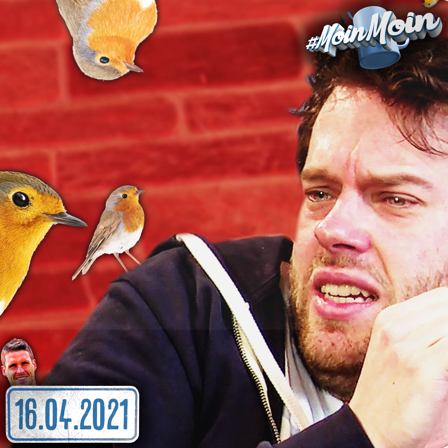 #1541 | Rotkehlchenreport mit Florentin: Schlägerei nach Twitterbeef!