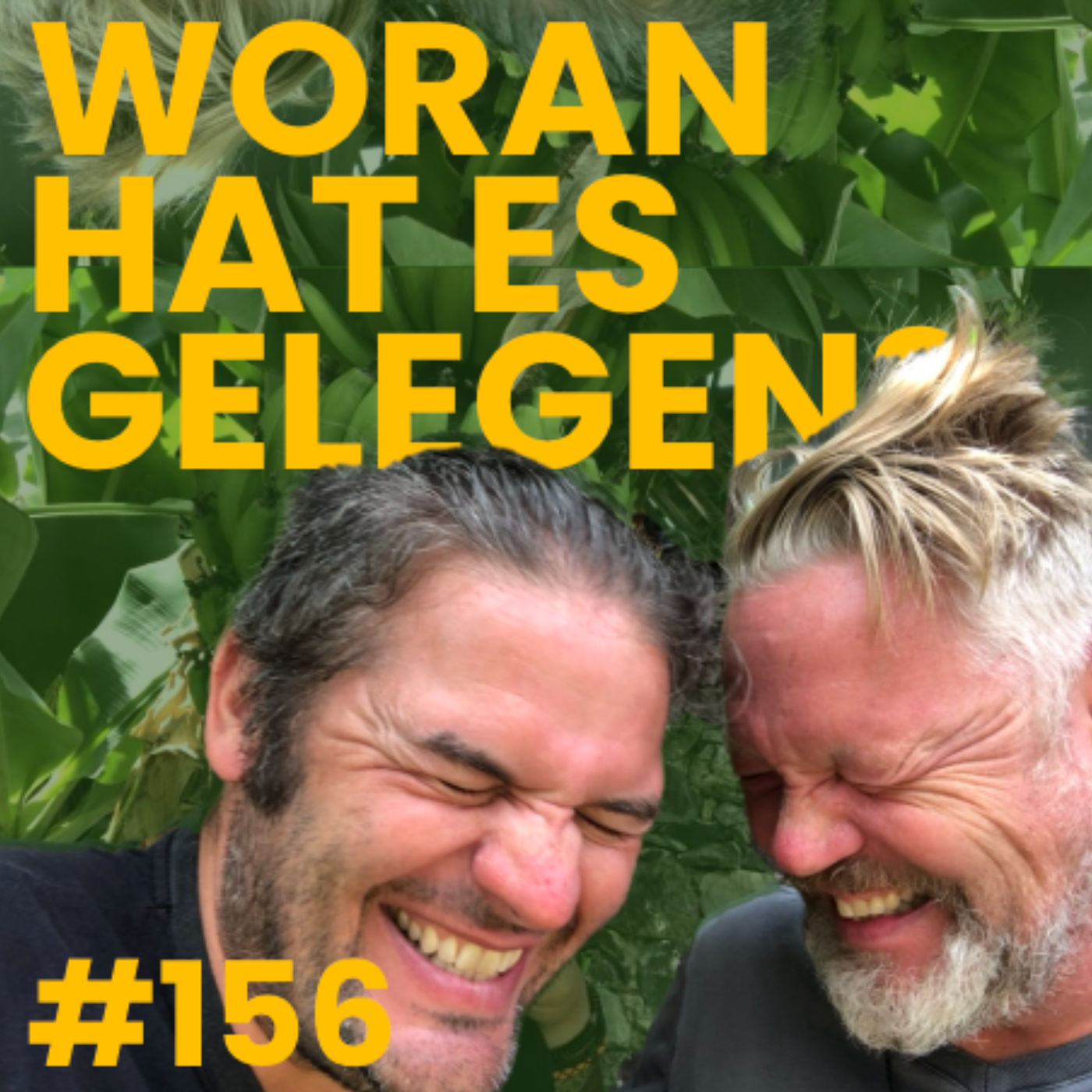 #156 Woran hat es gelegen?