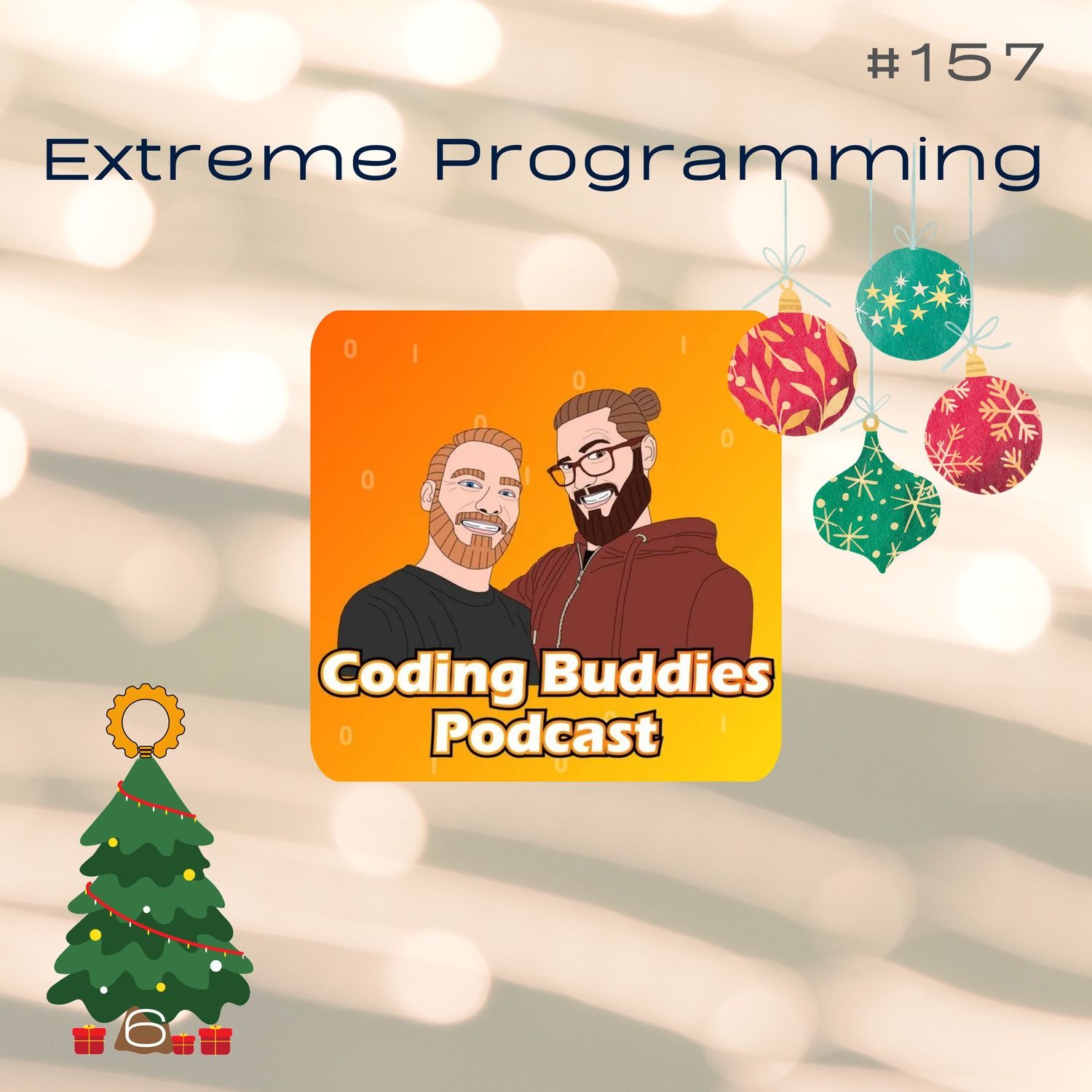#157 Agile Arbeitsmethoden - Extreme Programming mit den Coding Buddies