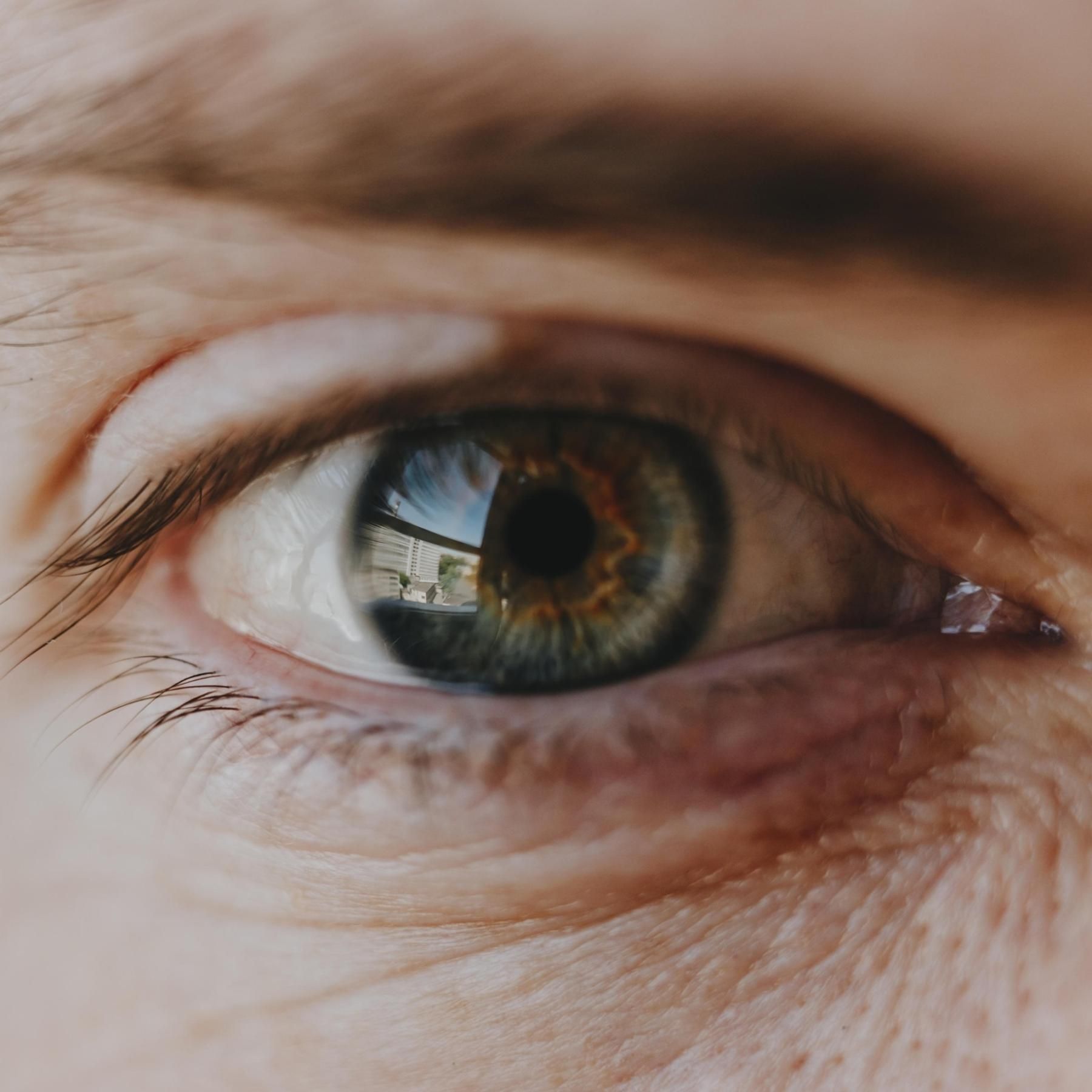 #157 Die giftigste Spinne der Welt - mal drei! | Was die Augen über Depression verraten | Wie ihr auf Fleisch verzichten könnt, ohne es zu merken