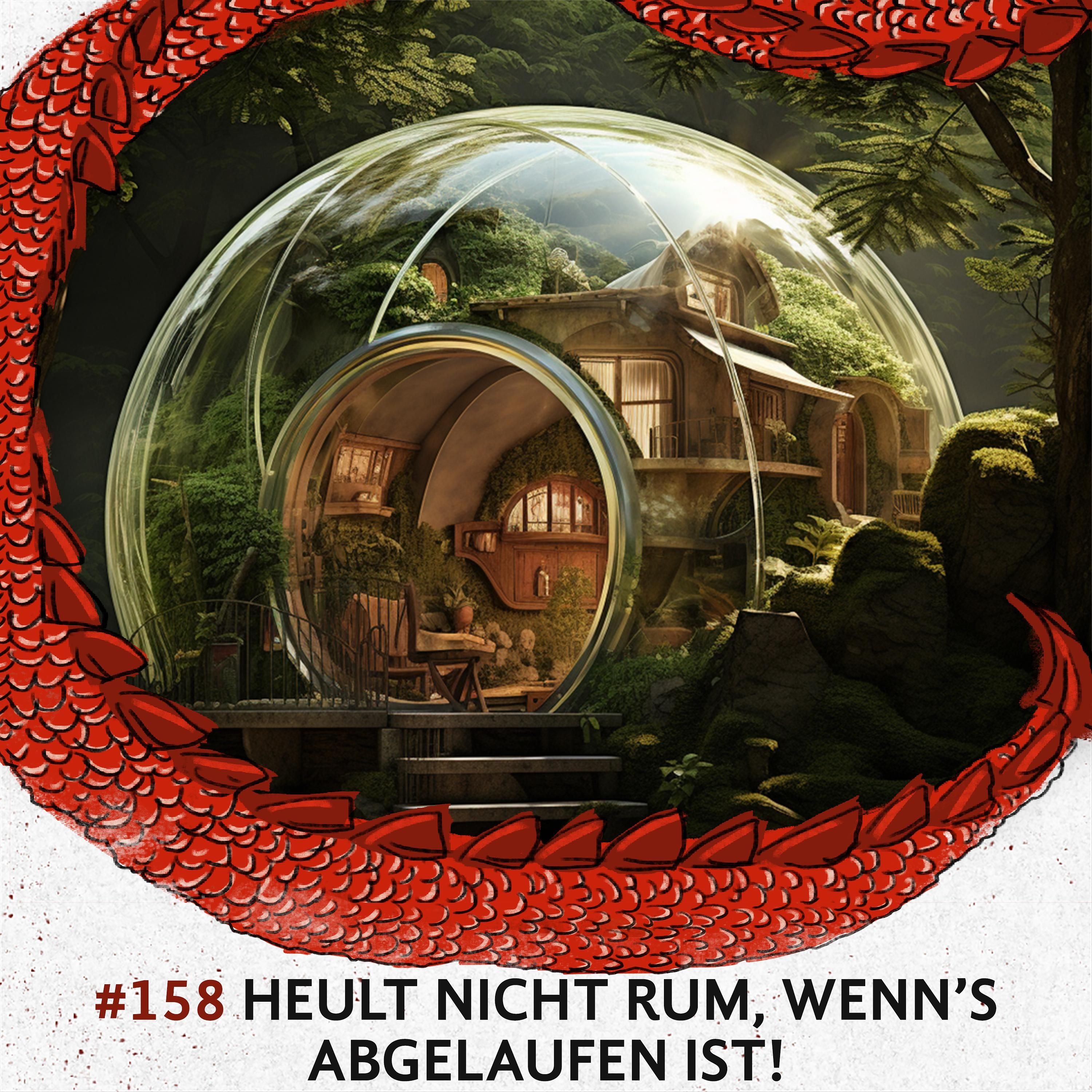158 Heult nicht rum, wenn’s abgelaufen ist!
