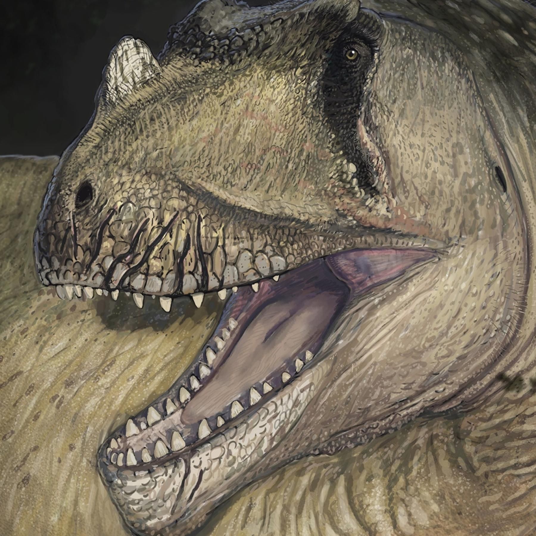 #159 Bitte recht freundlich: Neue Dino-Art entdeckt - per Foto! | Warnung vor Herzenskälte bei Minusgraden
