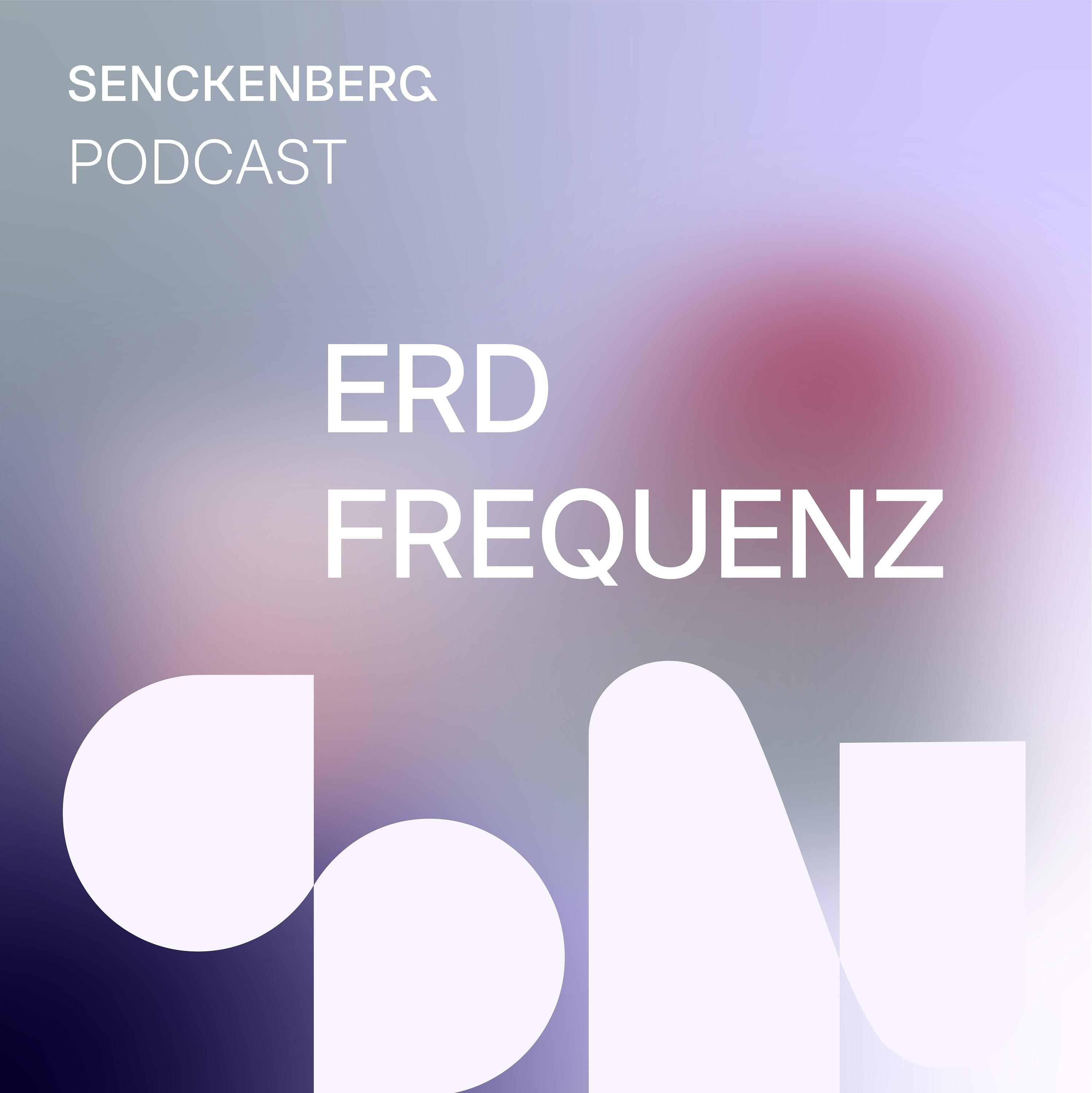 #16 Die Fundstätte Schöningen - mit Jordi Serangeli