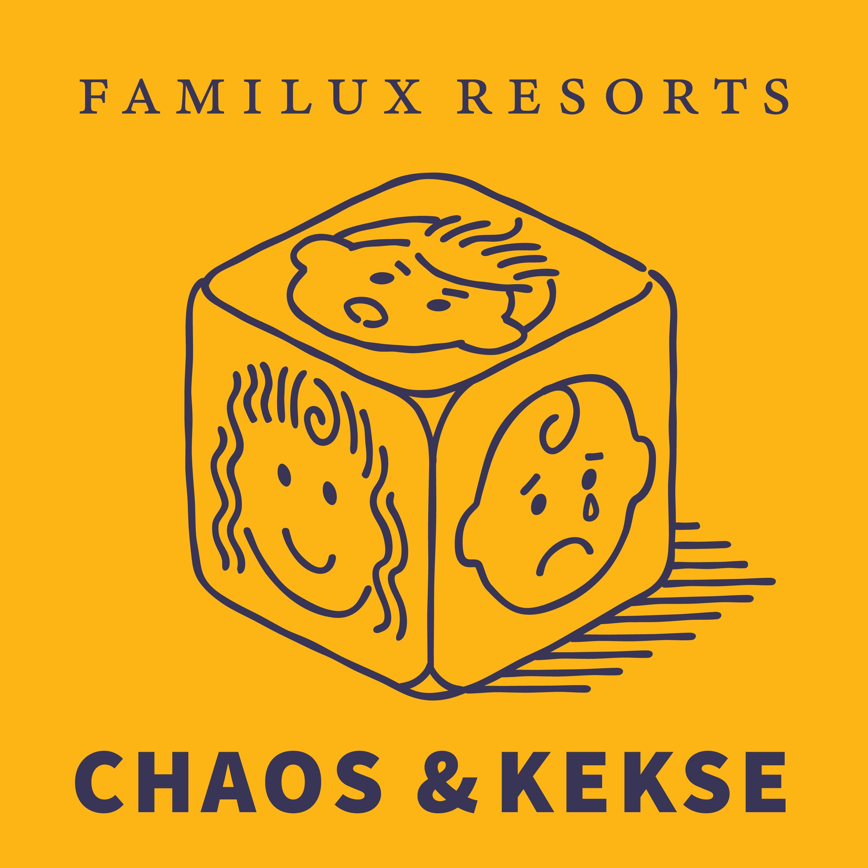#16 mit Julia Reingruber, Director Talents & Culture von Familux