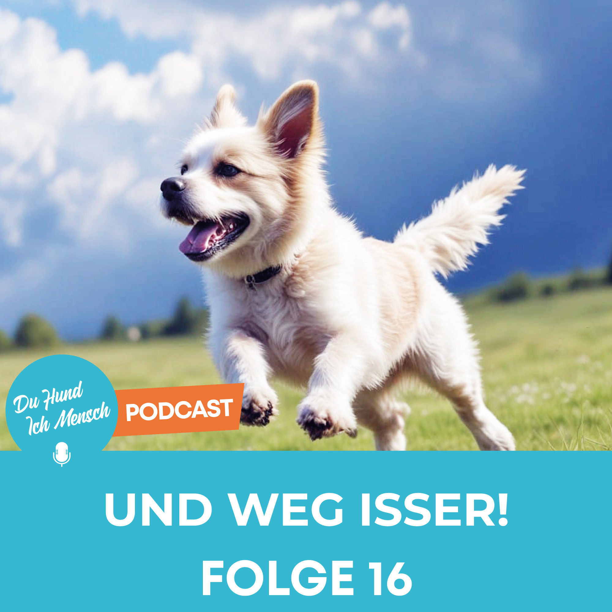 16# Und weg isser!