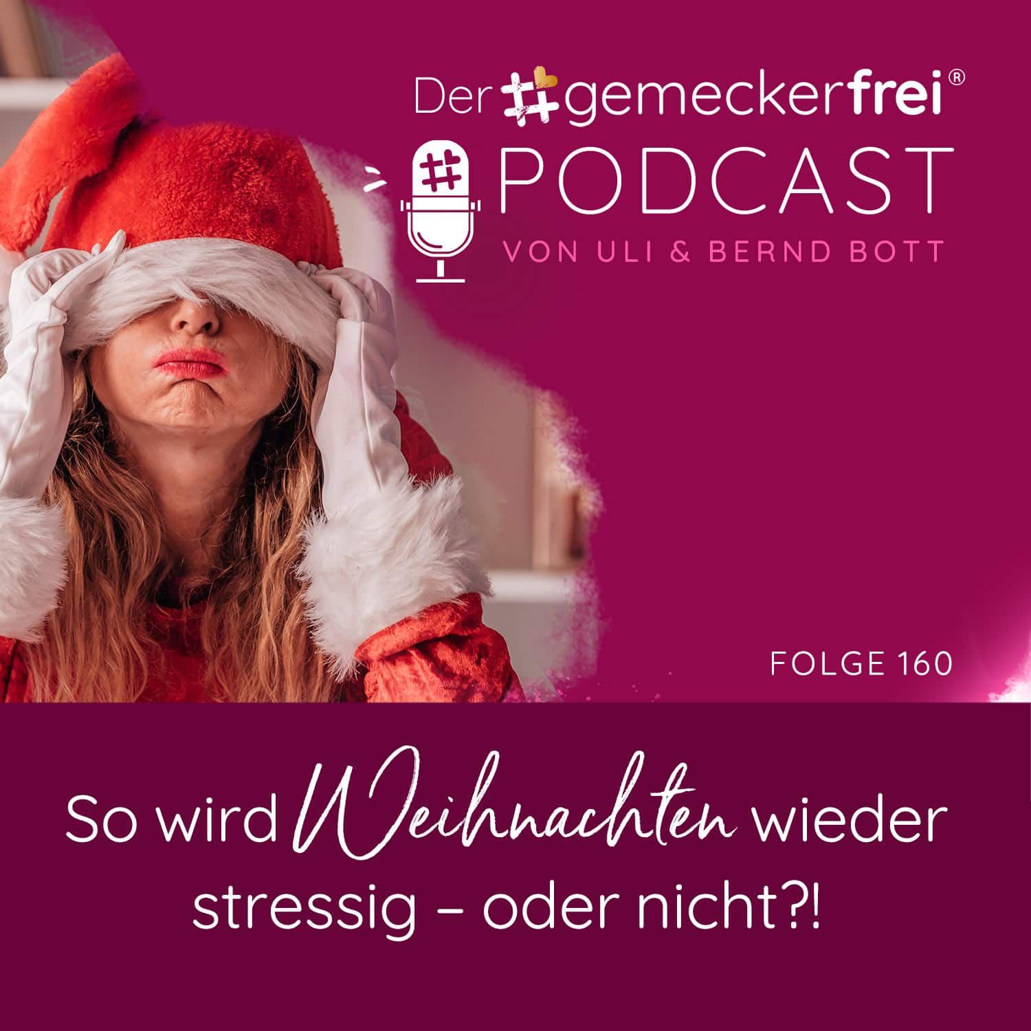 160 So wird Weihnachten wieder stressig - oder nicht?!