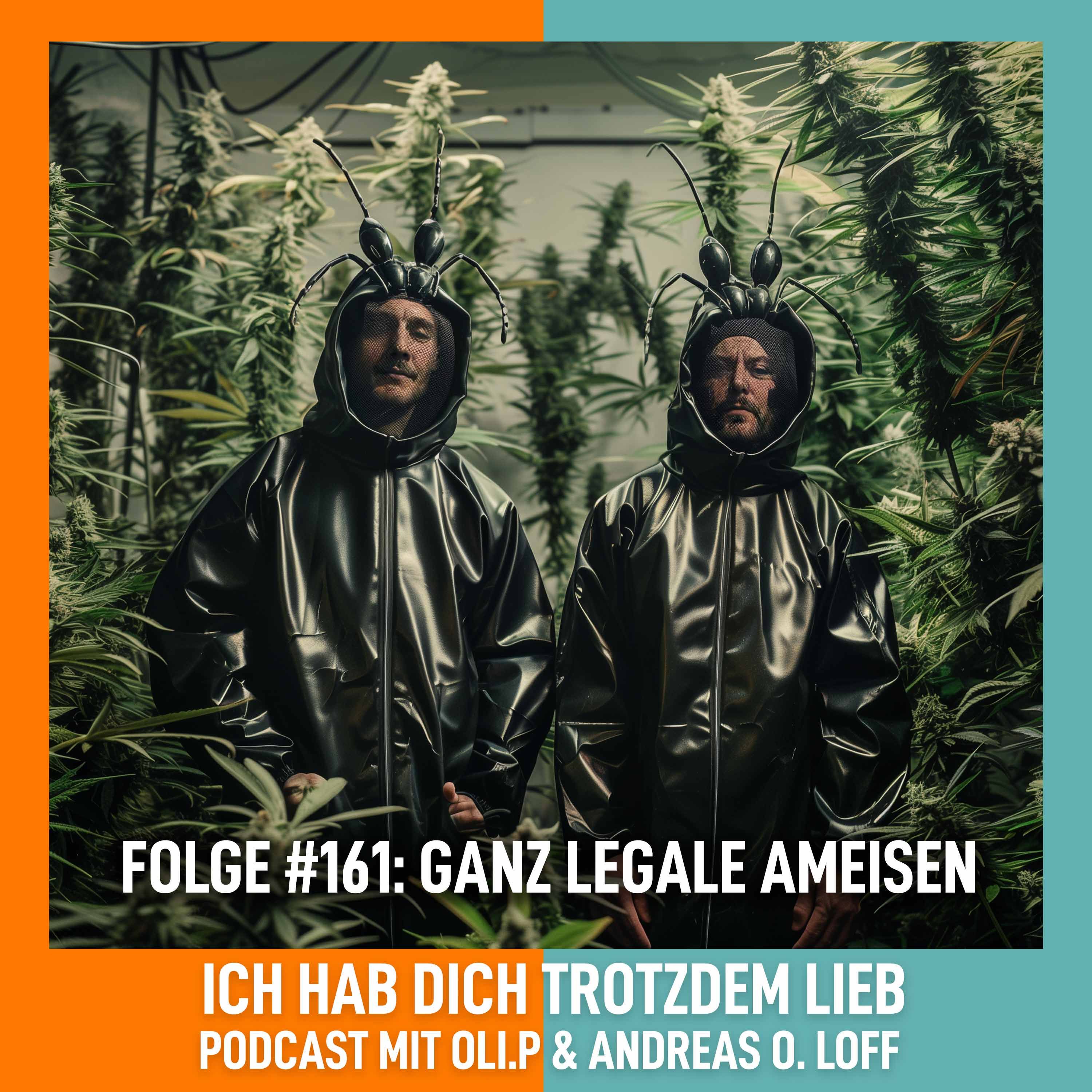 #161 Ganz legale Ameisen