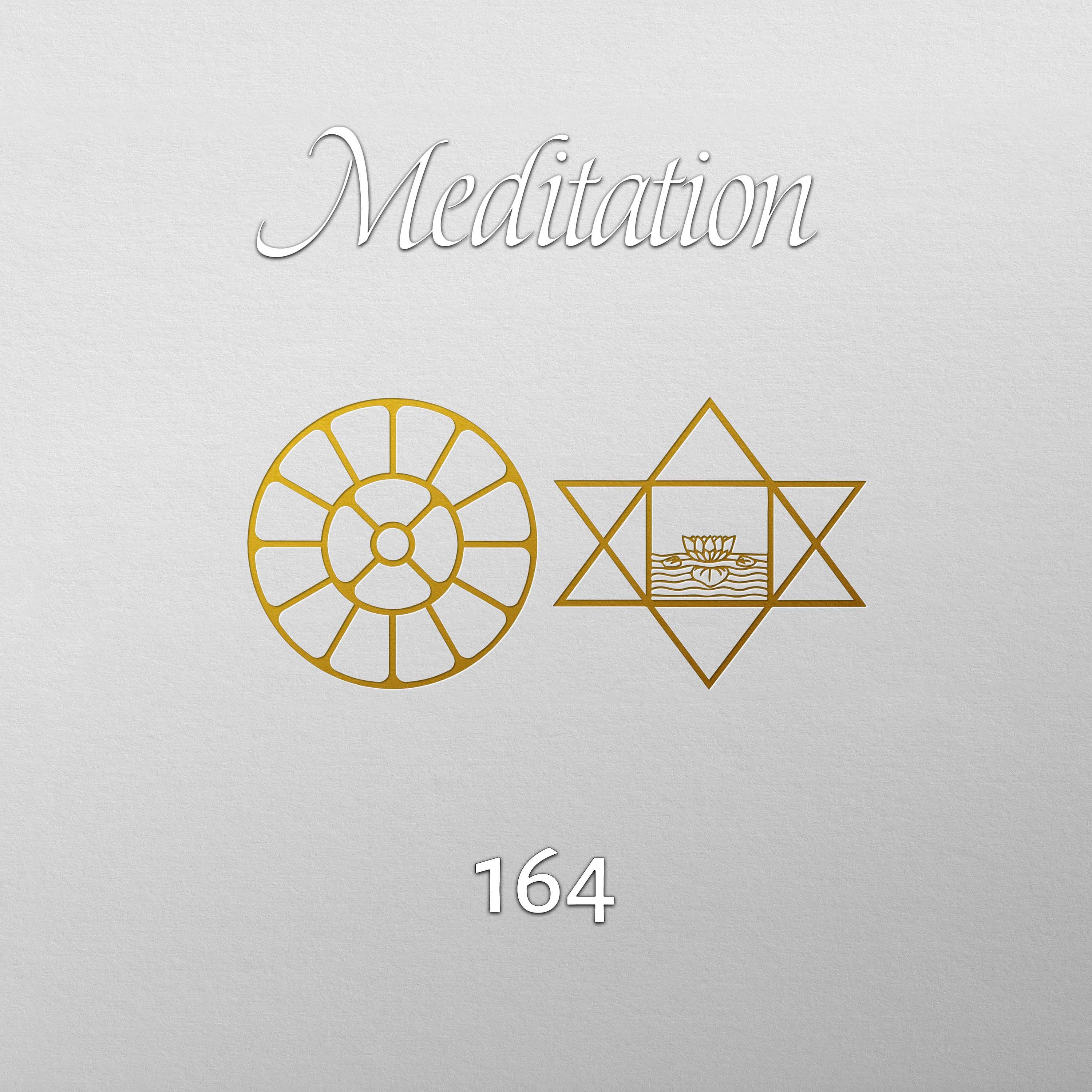 164. Der Mensch kann aus eigener Anstrengung nichts aus sich machen, was mehr ist als ein Mensch