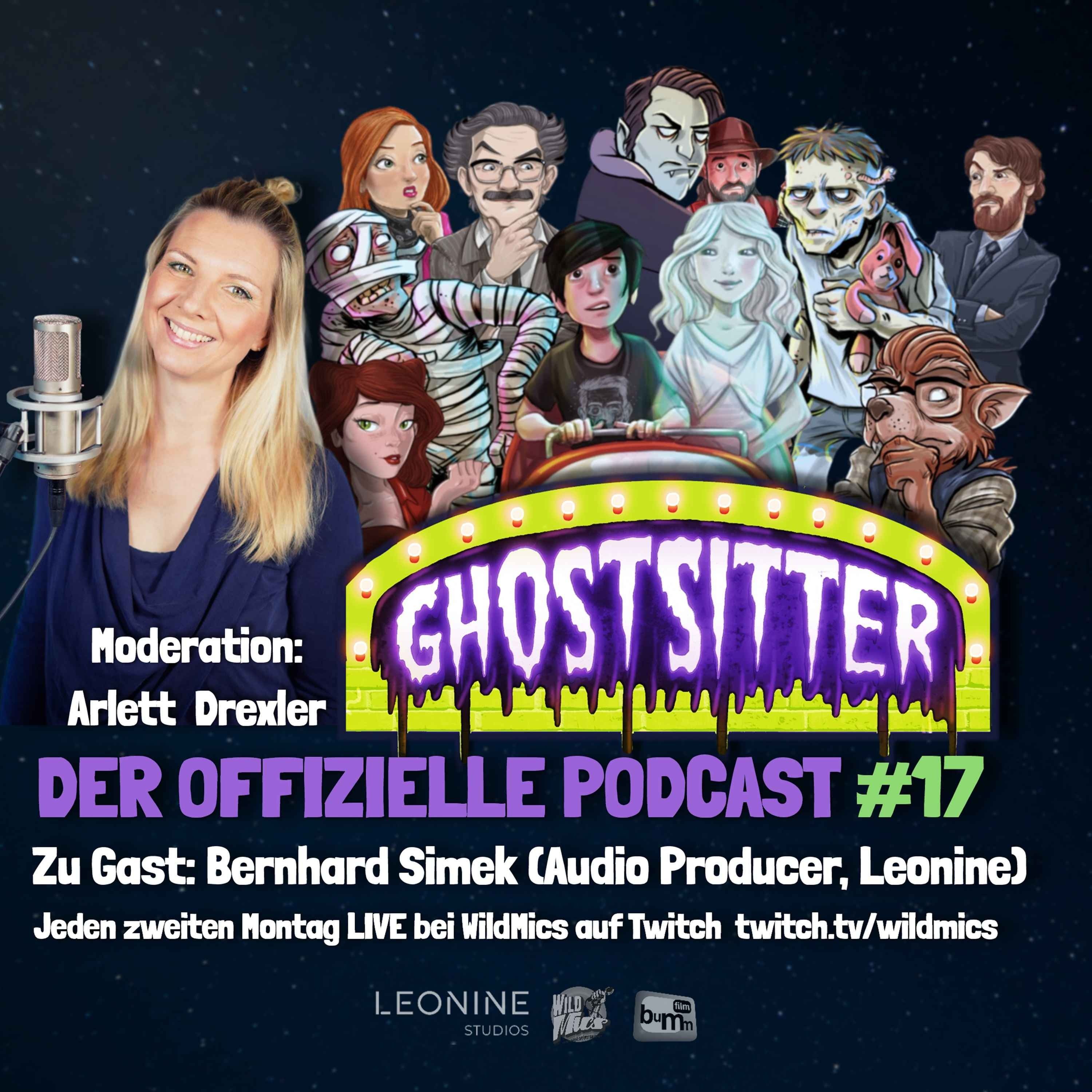 #17 Gast: Bernhard Simek (Audio Producer, Leonine)