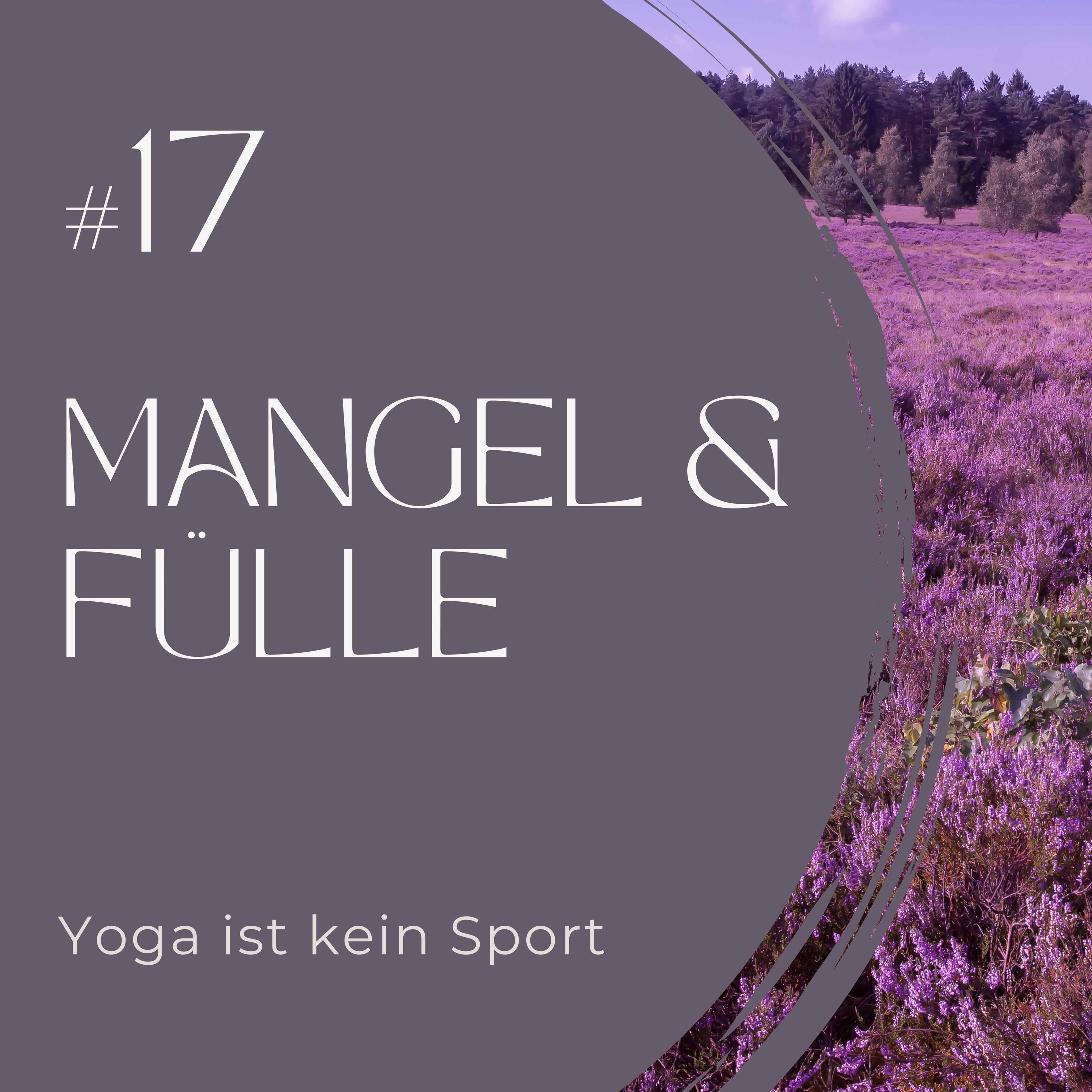 #17 Mangel und Fülle