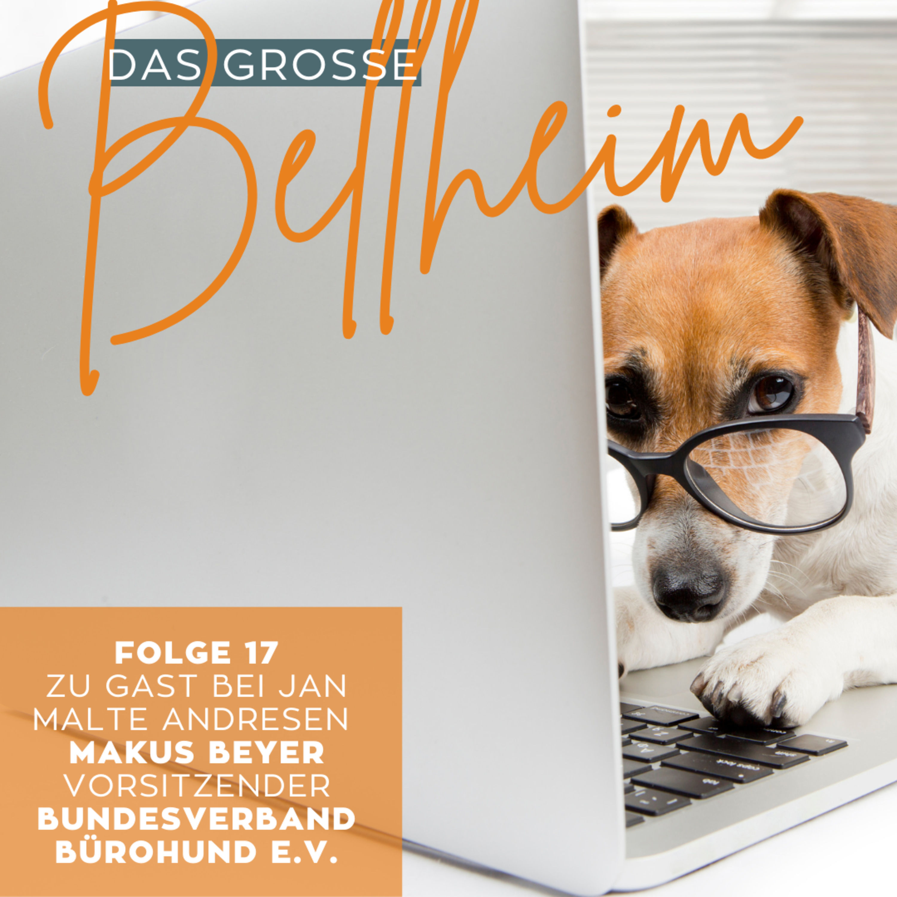 #17 - Markus Beyer, Bundesverband Bürohund - Hunde bei der Arbeit