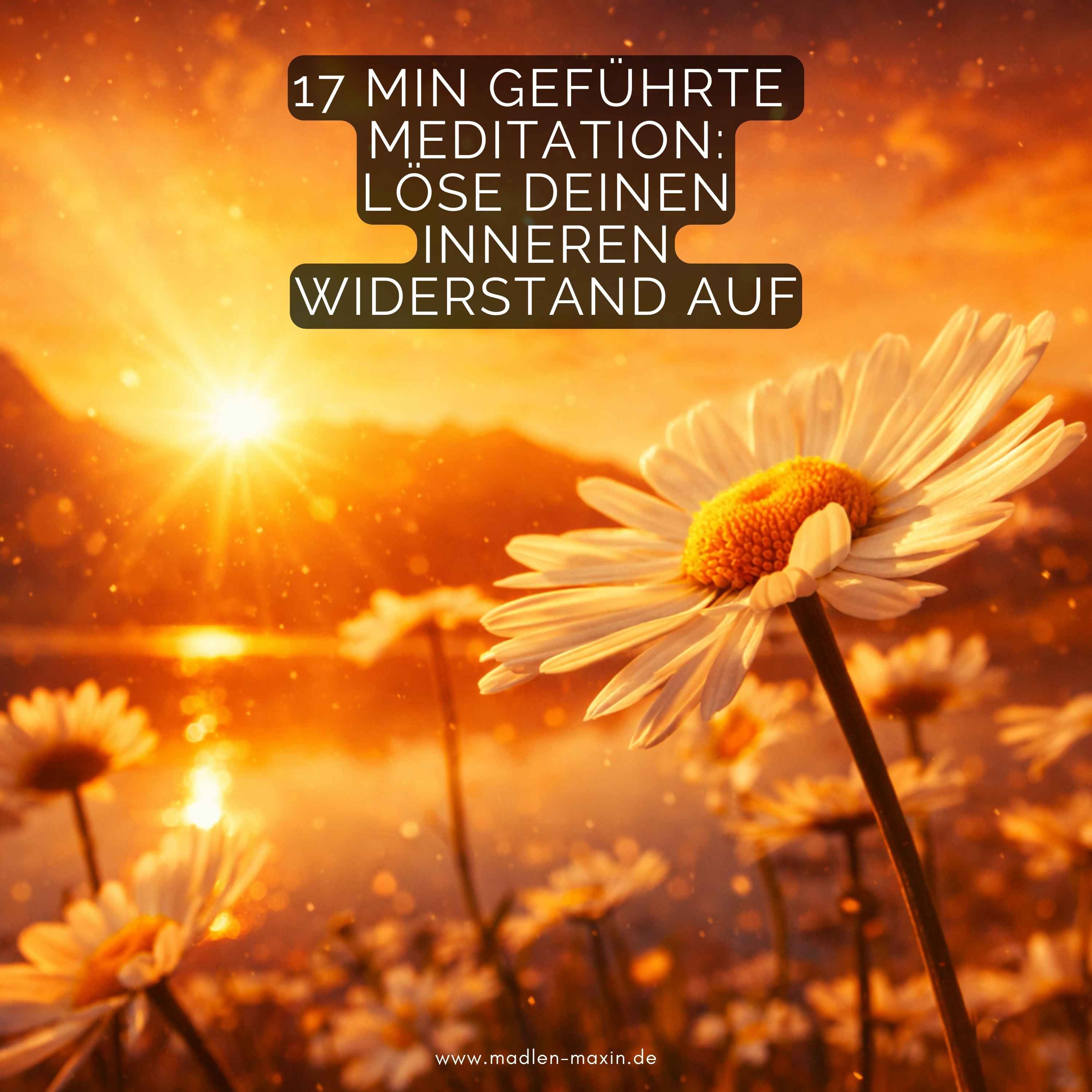 17-Minuten geführte Meditation: Löse deinen inneren Widerstand auf