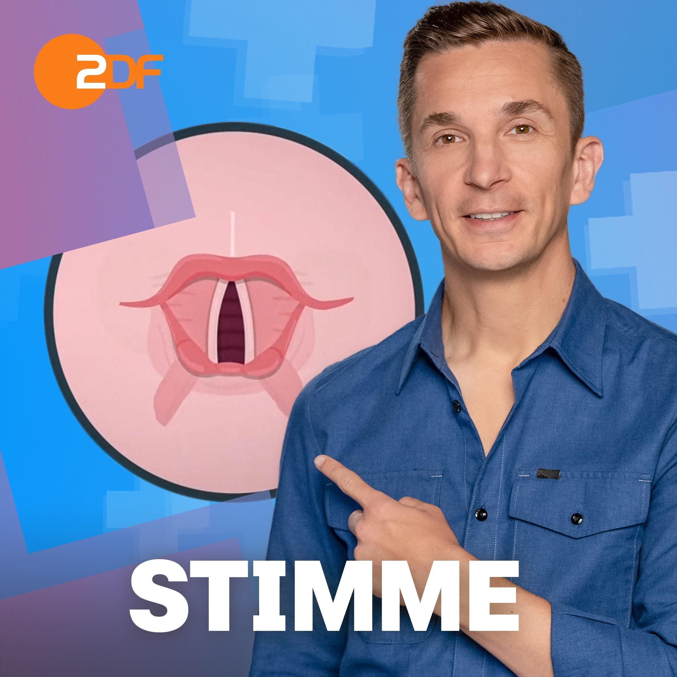 17| Stimme: So viel verrät sie über dich