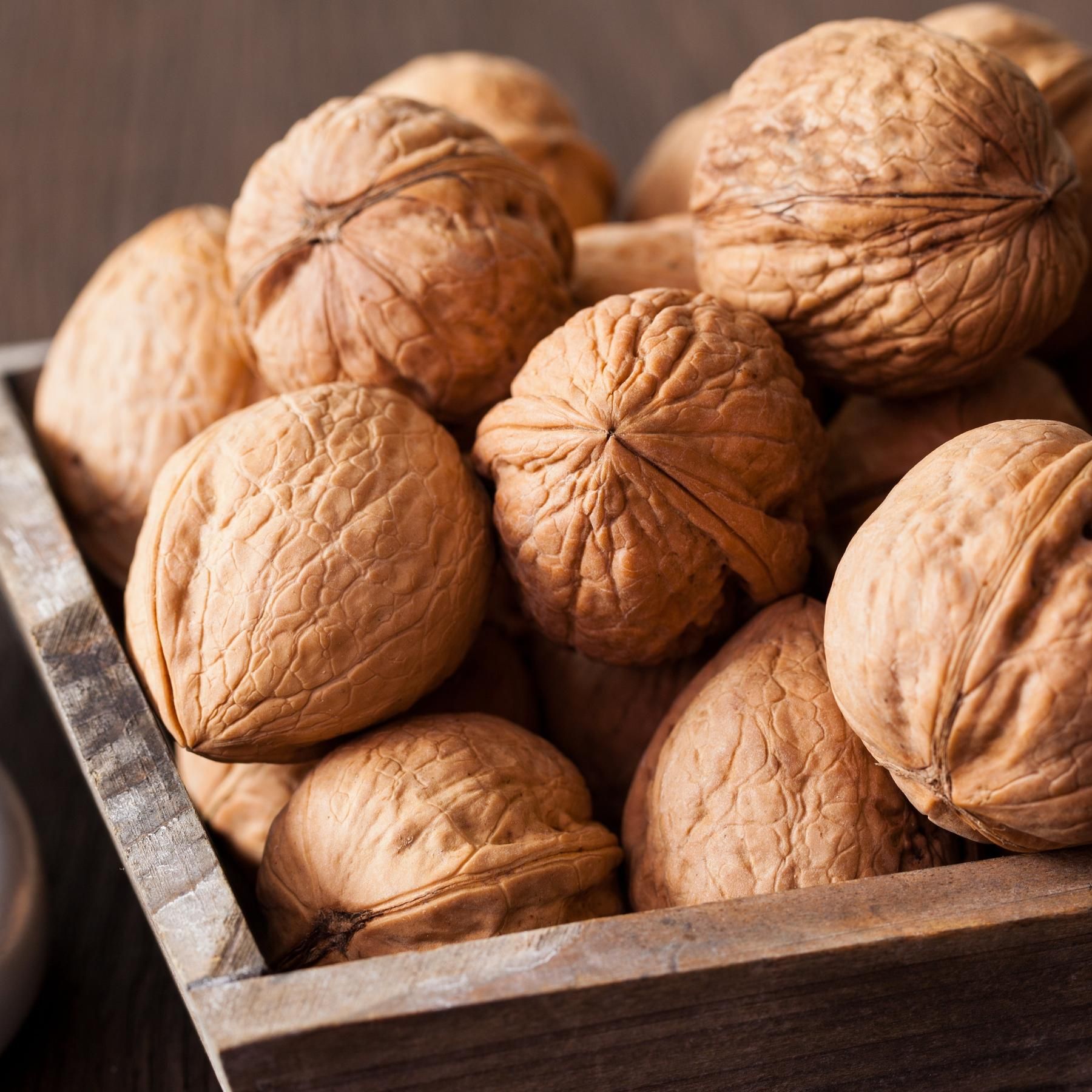 #170 Wie uns Fisch und Walnüsse verjüngen | Wie viel Mikroplastik sammelt sich im Gehirn an?