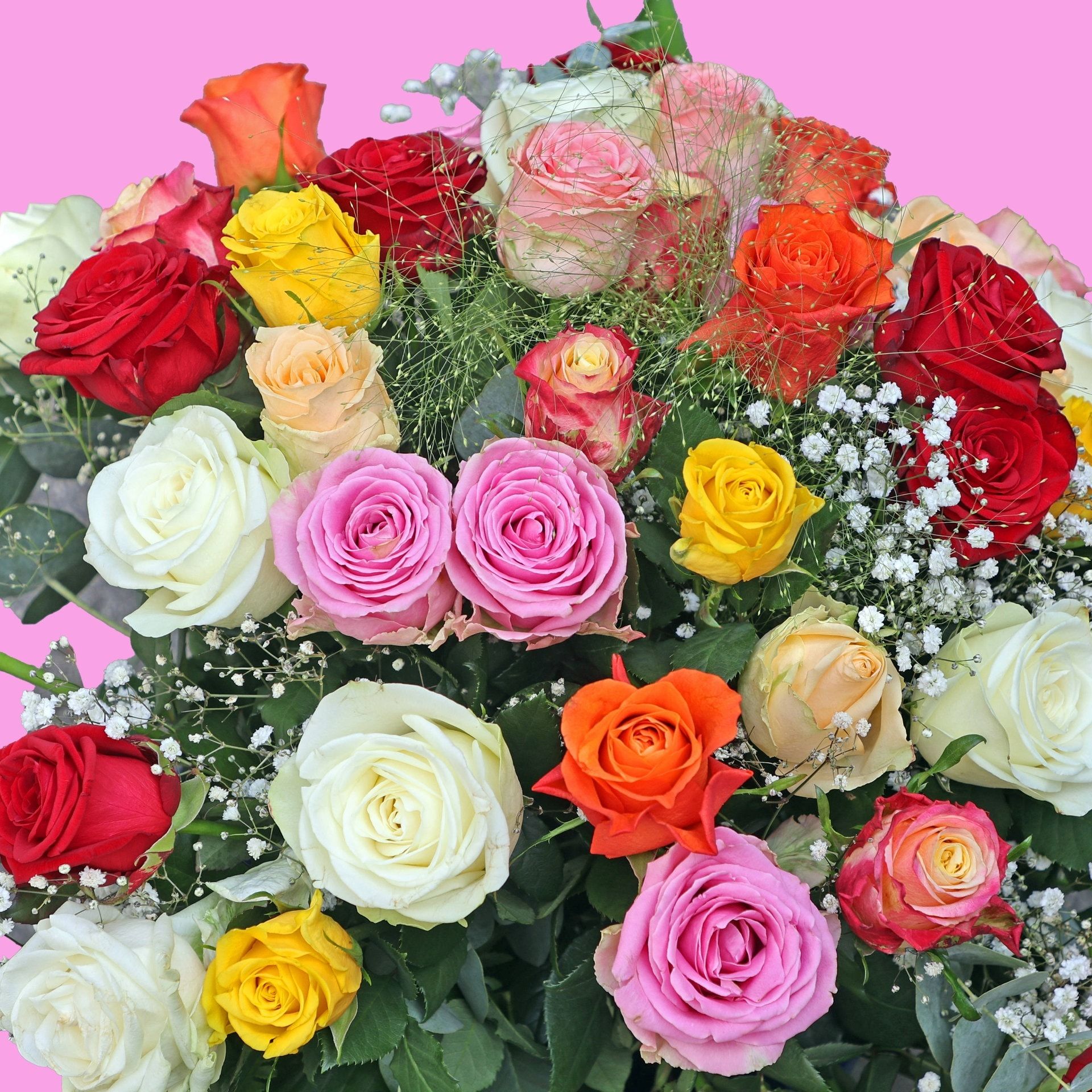 17.9.1908: Die Blumenspende-Vermittlungs-Vereinigung wird gegründet