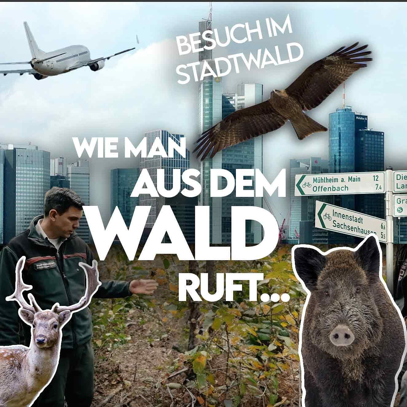 #18 Besuch im Stadtwald Frankfurt