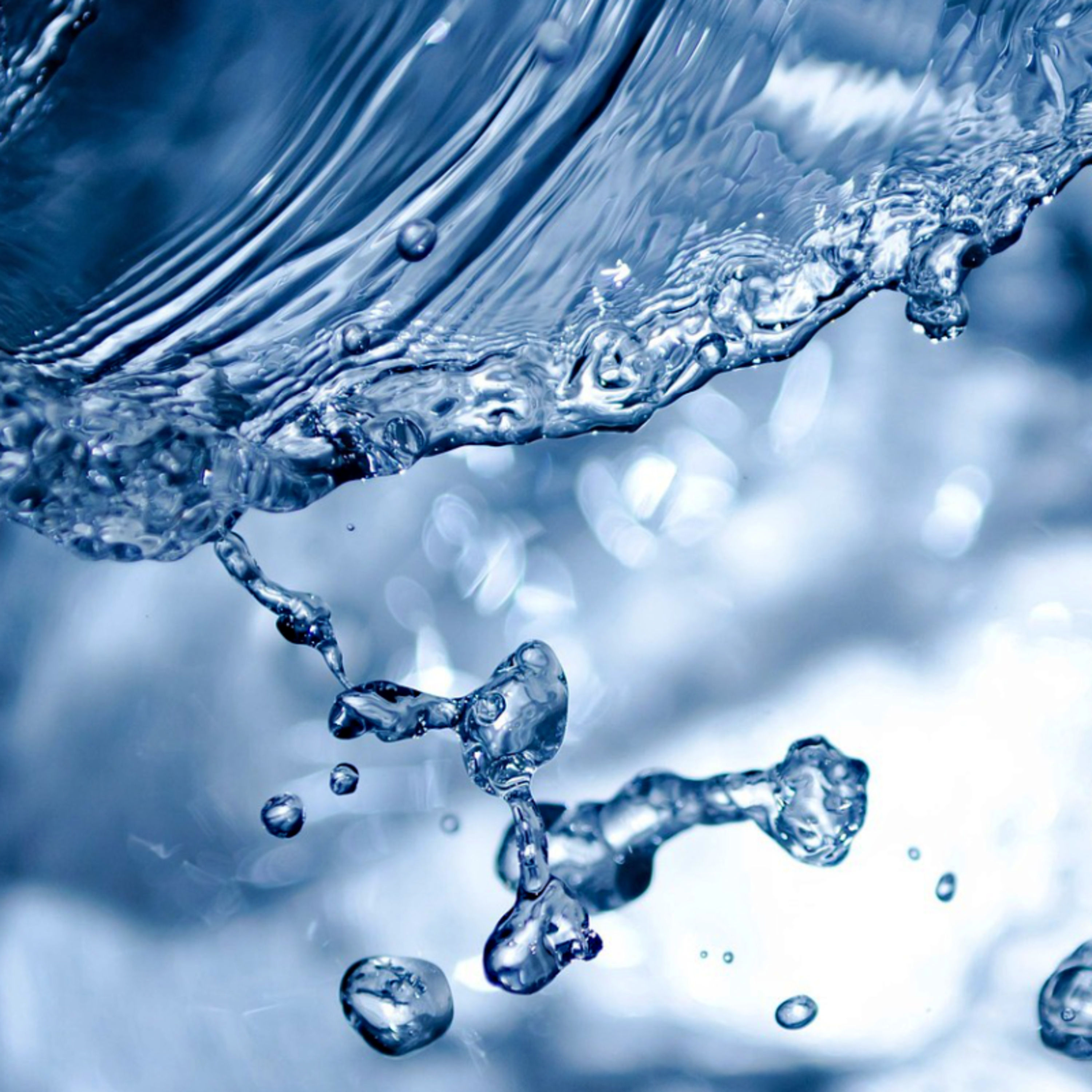 #18 • Der Bildungsauftrag, das Wasser und zwei Flüssigkeiten