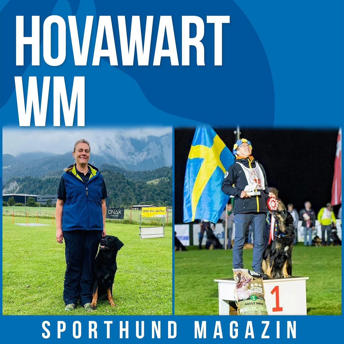 #18 Hovawart WM