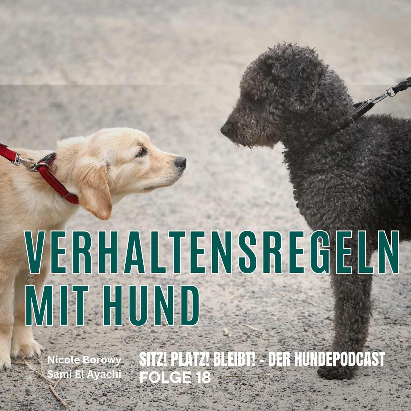#18 Knigge mit Hund - so klappt´s in der Öffentlichkeit