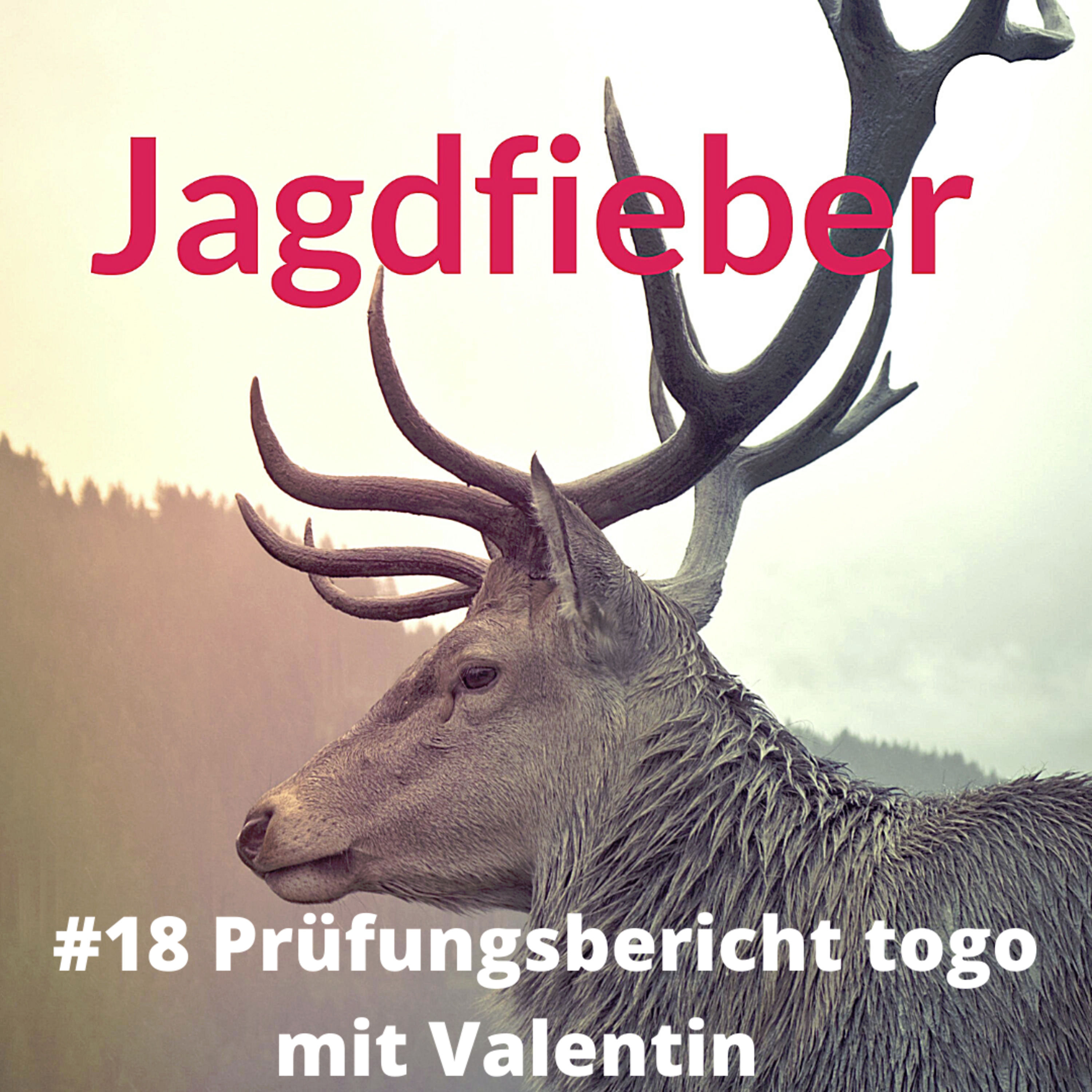 #18 Prüfungsbericht to go #Jagdschuletogo # Jagd #Jägerleben #jagdblogger #jagdpodcast #jagdwissen #jagdblog #waidmannsheil #hunter