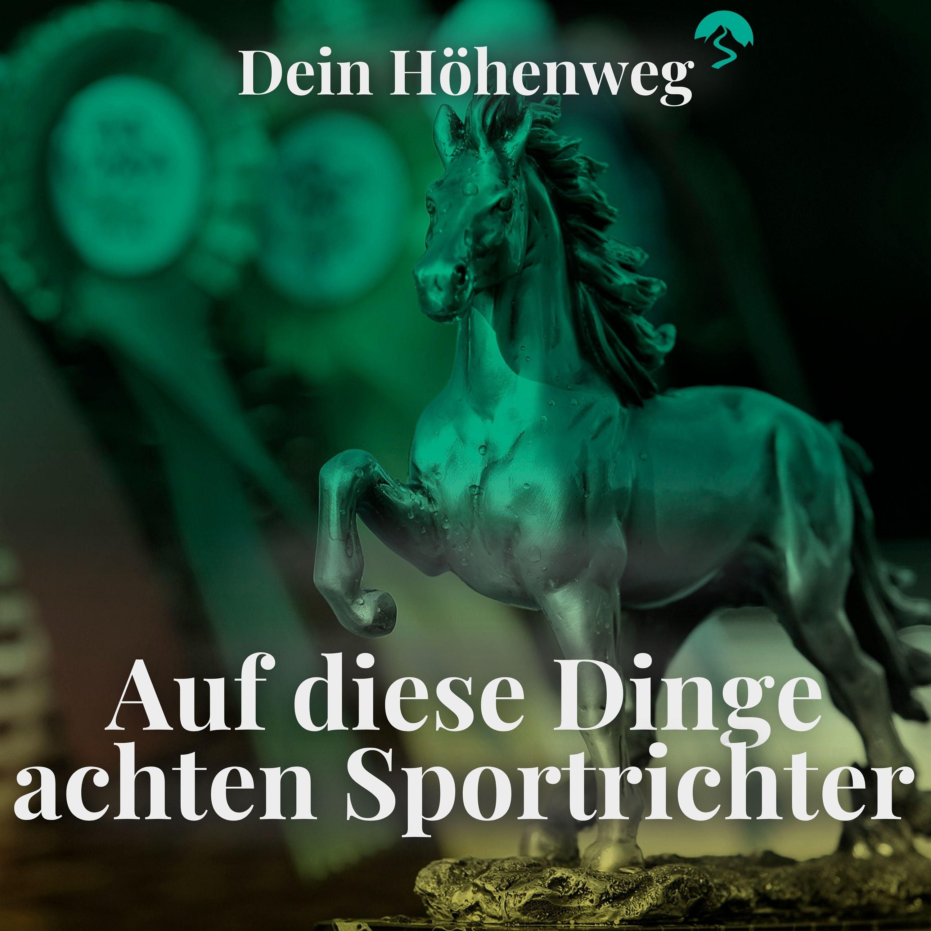 #18 Reittuniere: Auf diese Dinge achten Sportrichter | Stefan Hackauf