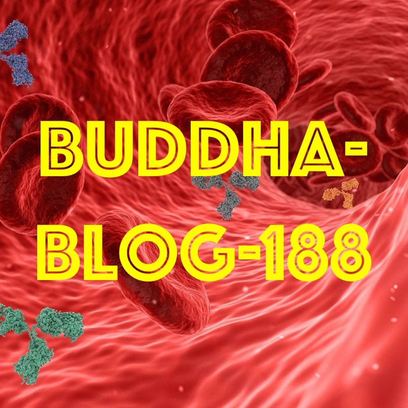 188-Blut und Meerwasser - Buddhismus im Alltag