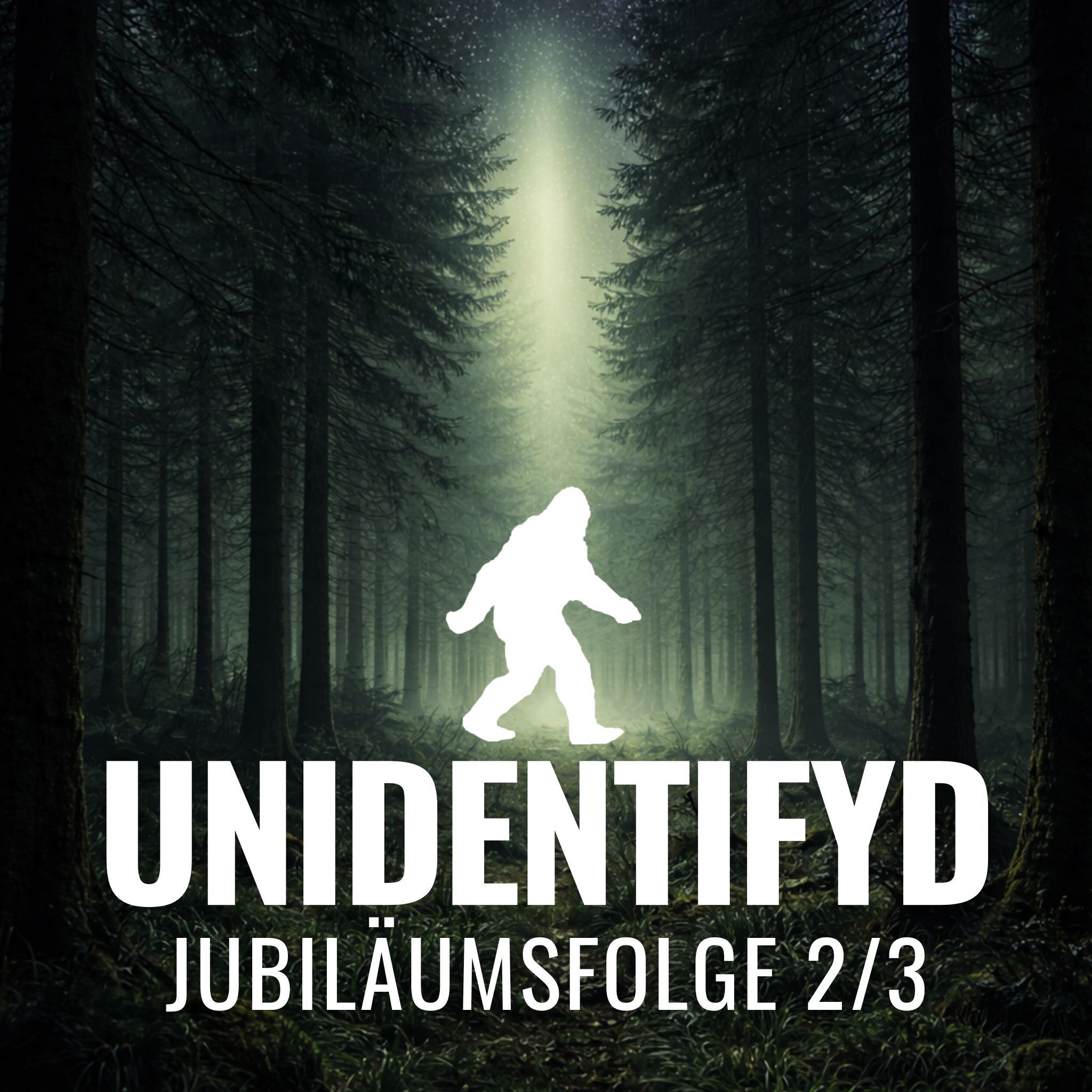 #19 Patterson Gimlin - Bluff Creek (2/3)