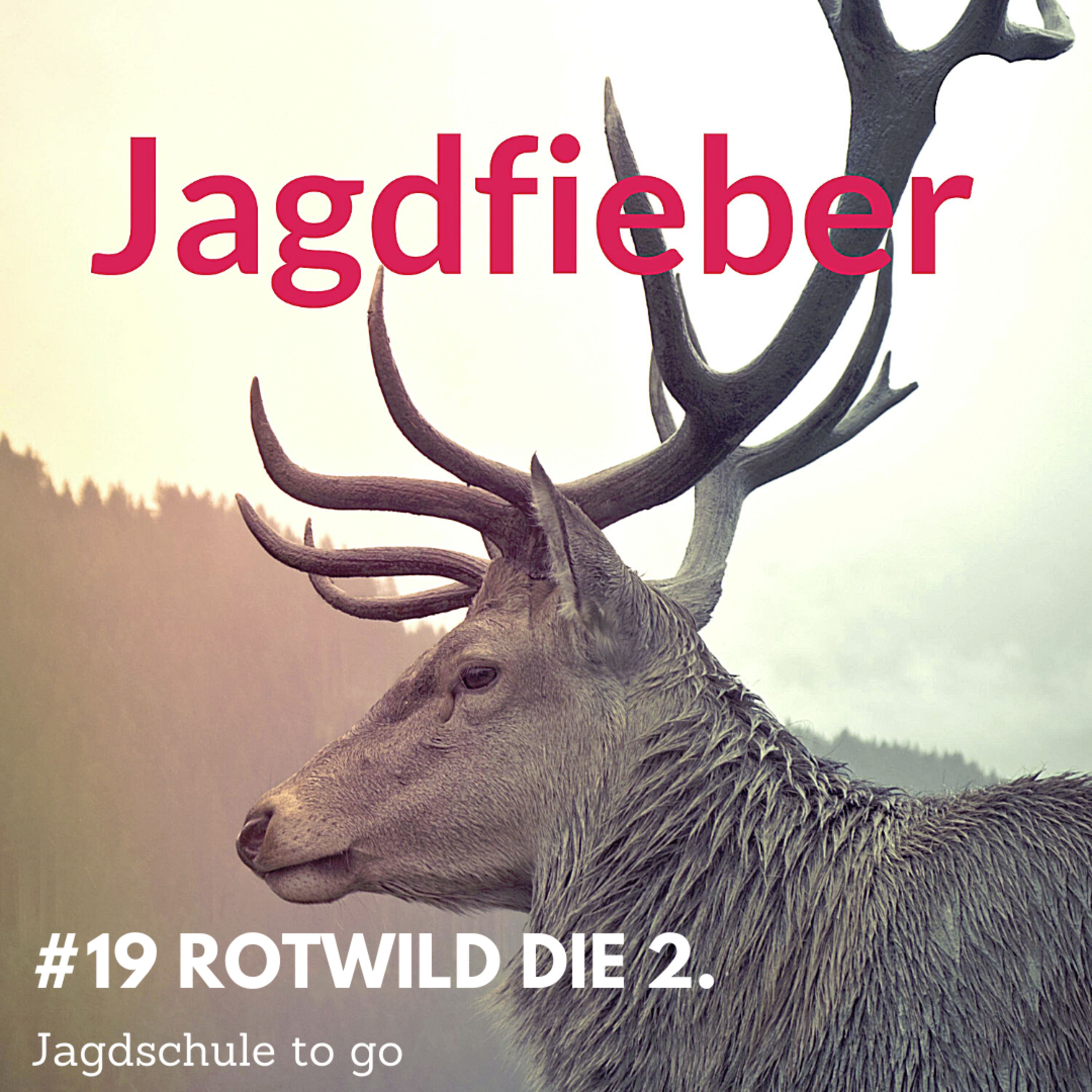 #19 Rotwild die 2. #Jagdschuletogo #Jagd #Jägerleben #jagdblogger #jagdpodcast #jagdwissen #jagdblog #waidmannsheil #Rotwild